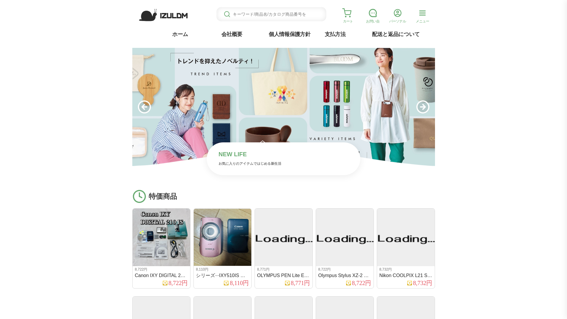 website screenshot of https://izuldmtg.expyills.click