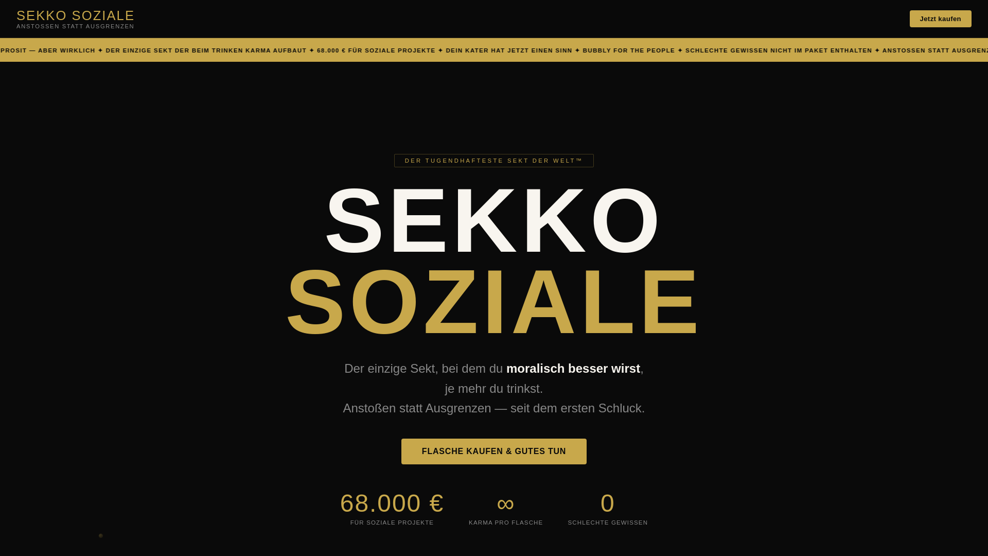 website screenshot of https://sekko-soziale-funny.pages.dev/