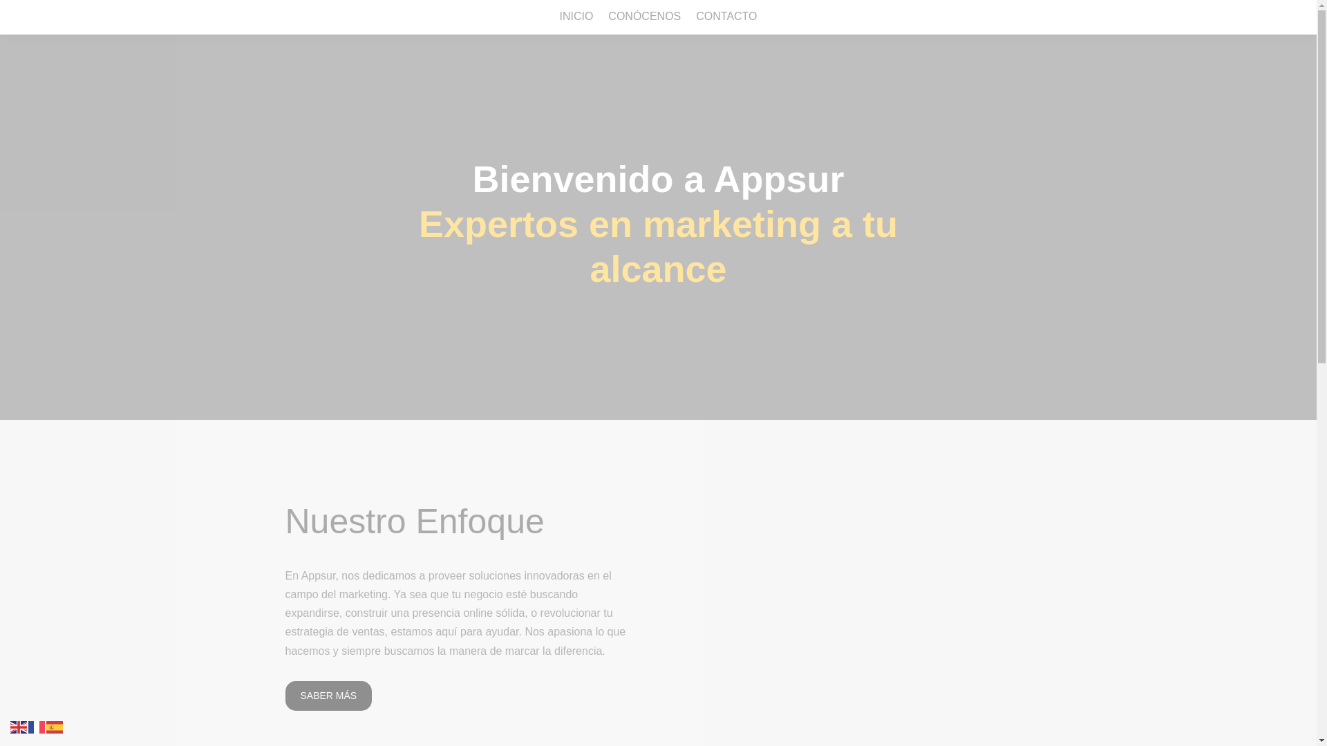 website screenshot of https://franciscojaviergomezdelosinfantestroncoso.es/
