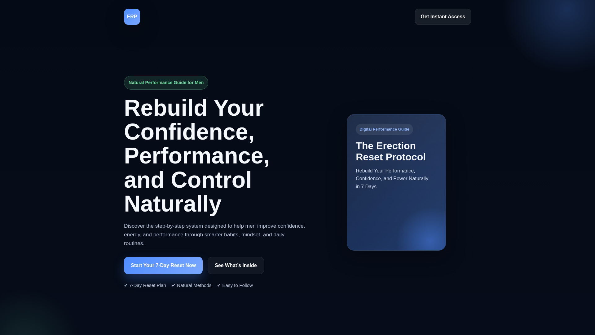 website screenshot of https://theerectionresetprotocol.com