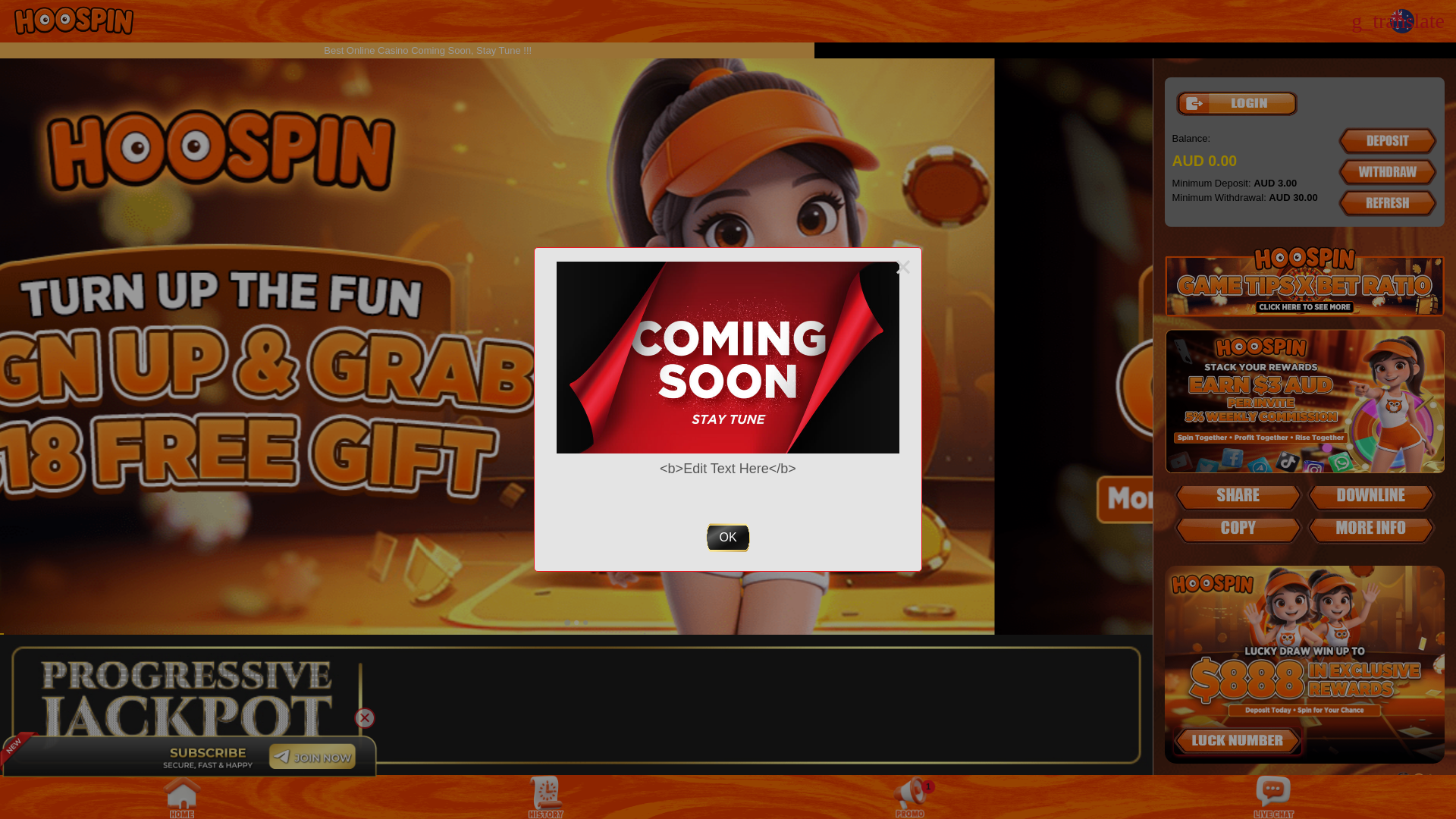 website screenshot of https://hoospin.vip/