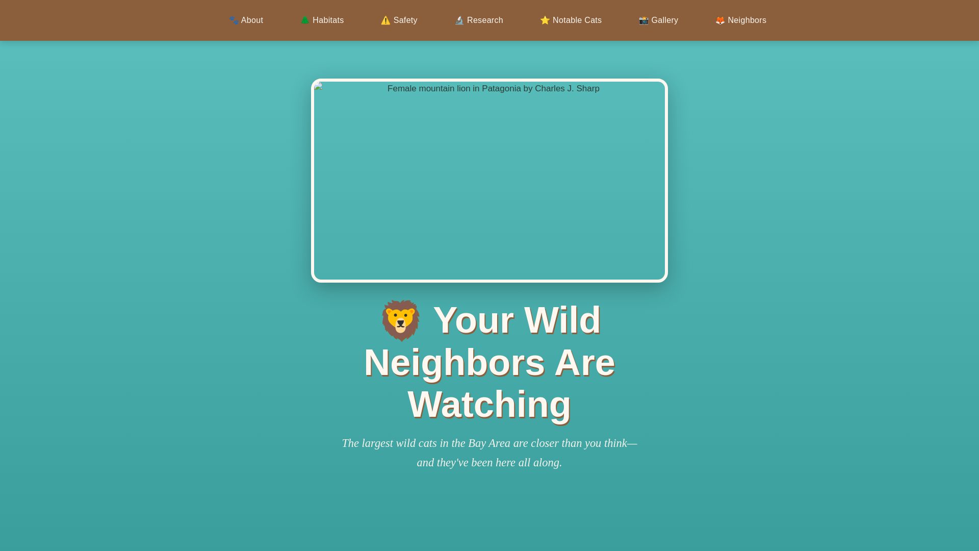 website screenshot of https://bay-area-mountain-lions.pages.dev/