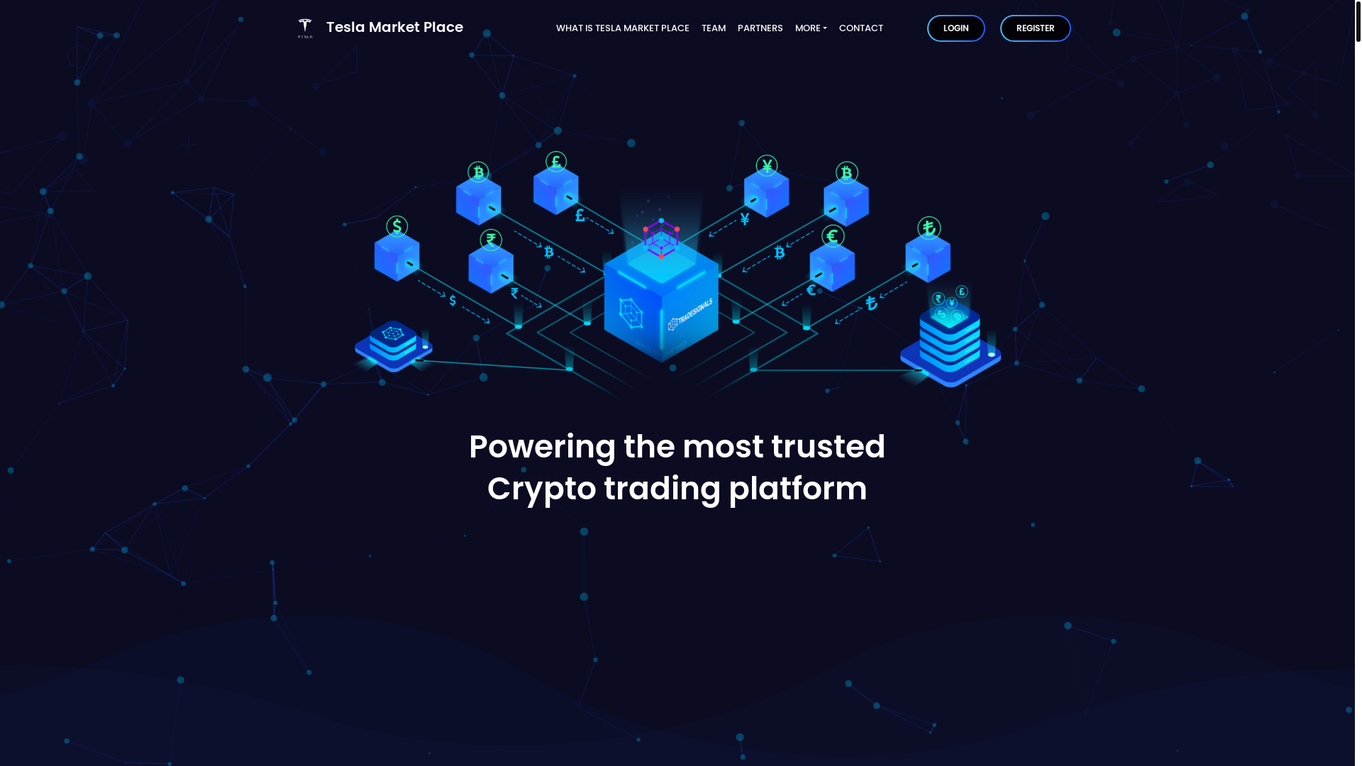 website screenshot of https://teslamarketplace.org/