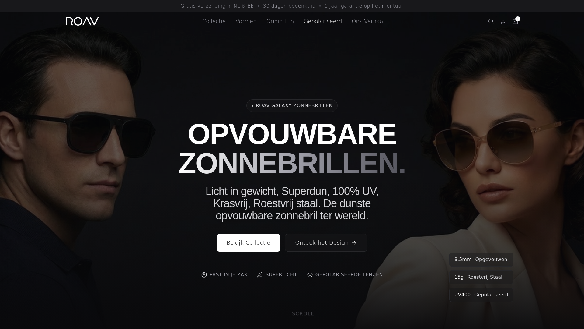 website screenshot of https://roav-homepage-2026.pages.dev/