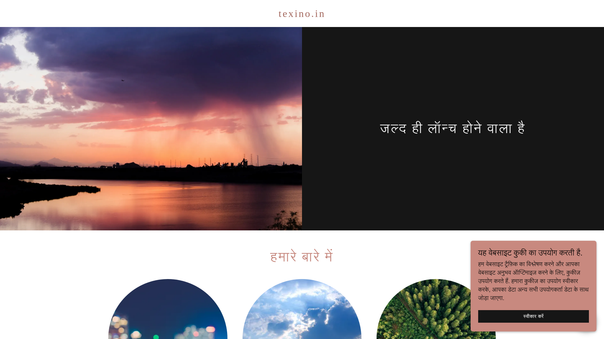 website screenshot of https://texino.in