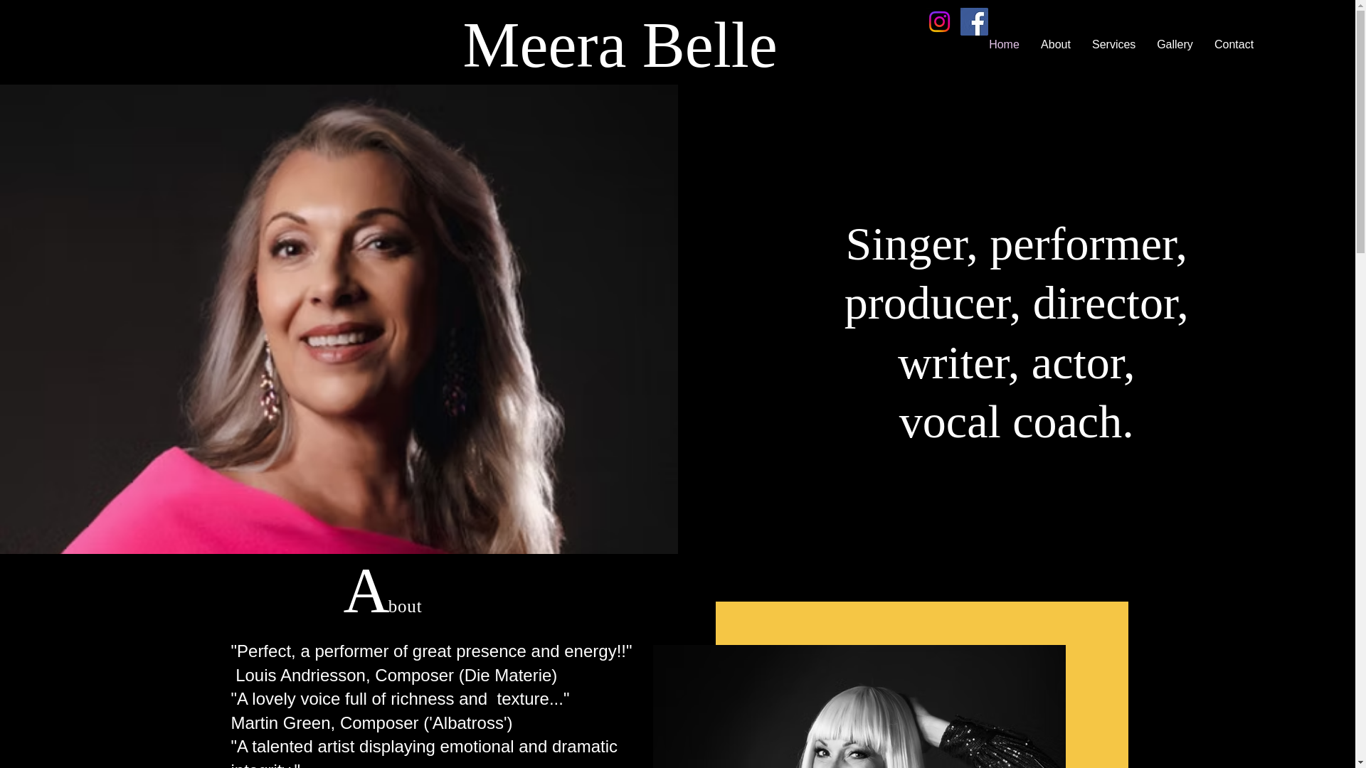 website screenshot of https://meerabellesinger.com/