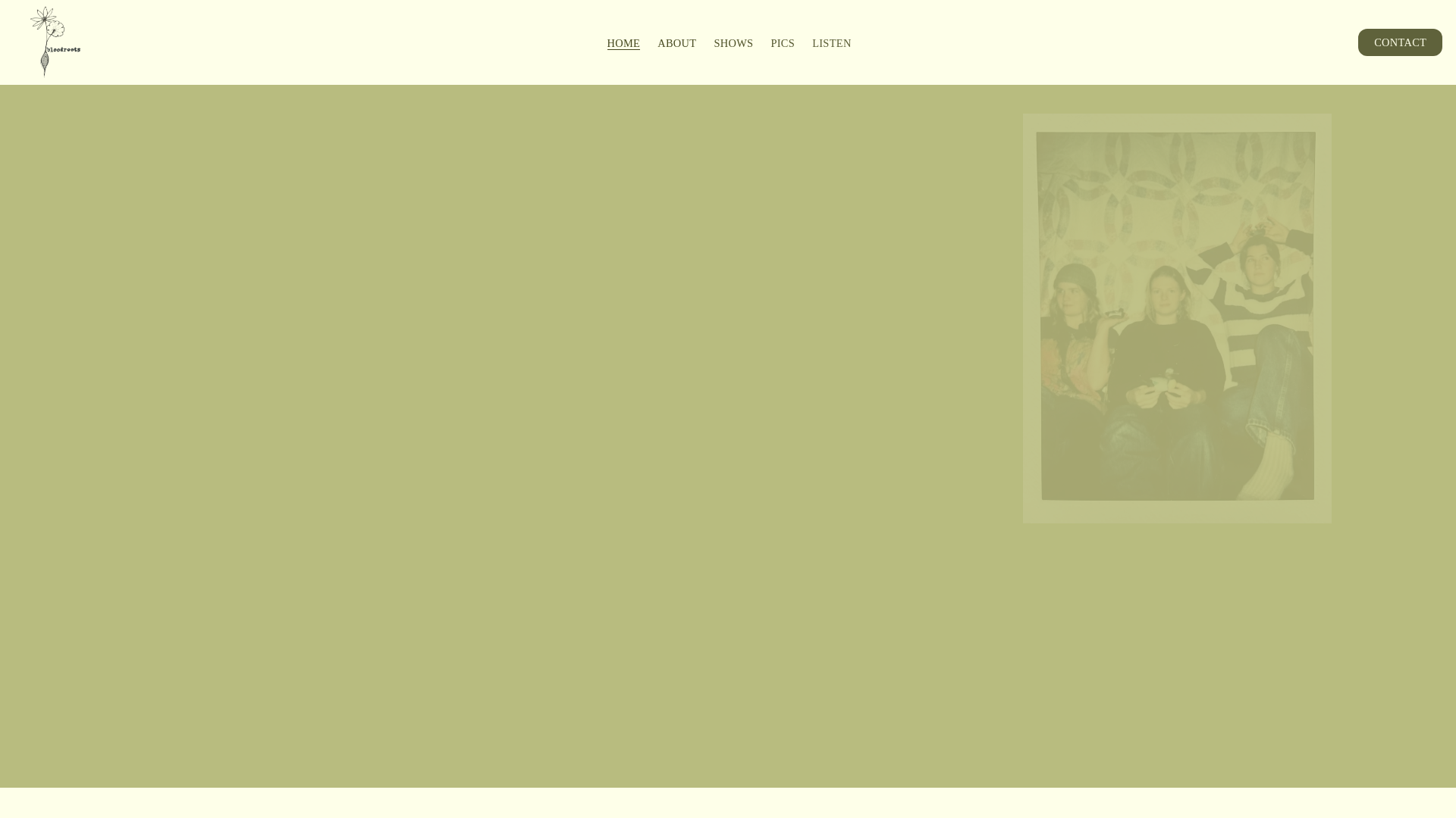 website screenshot of https://bloodrootsband.com/