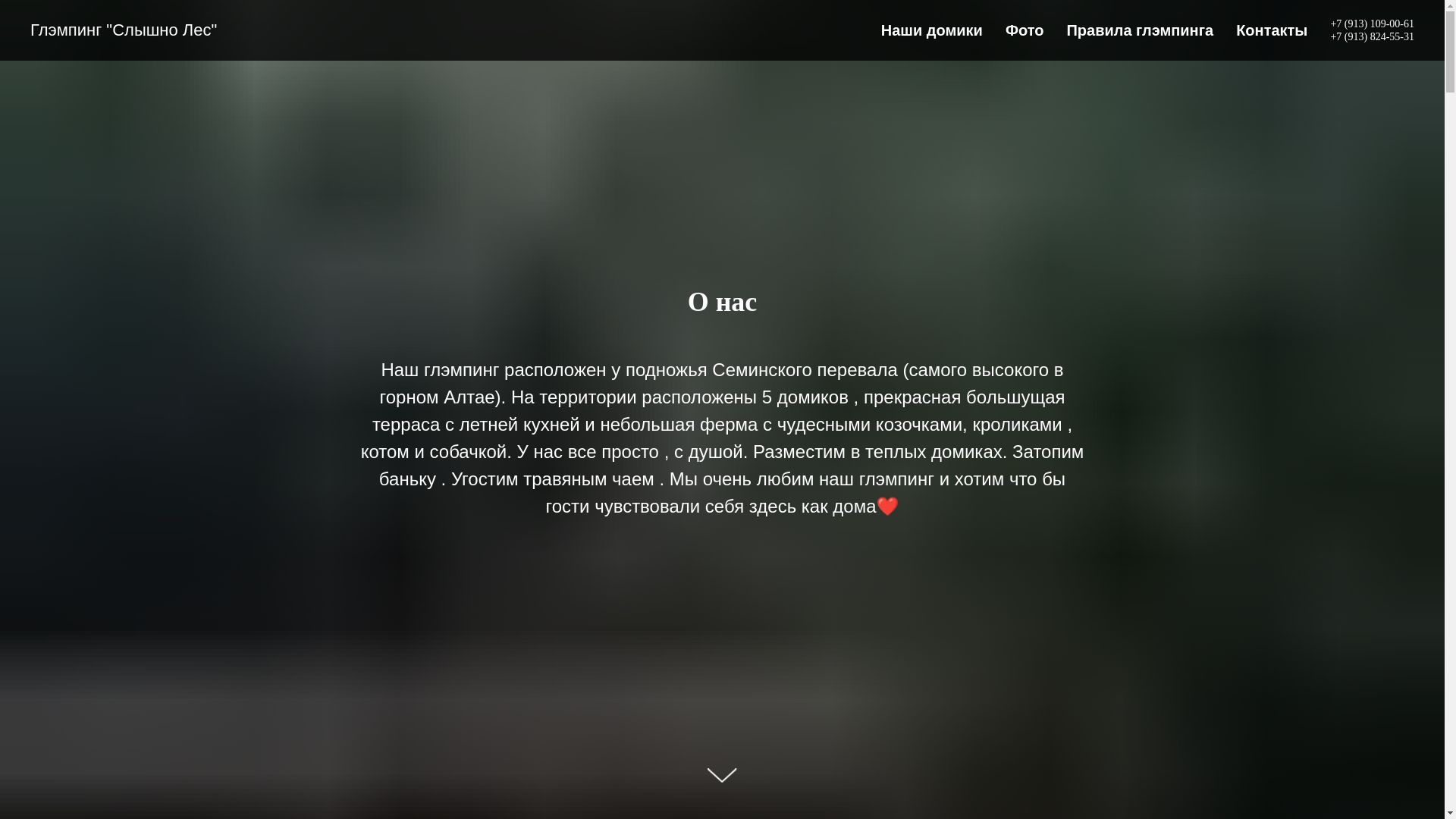 website screenshot of https://slushno-les.ru/