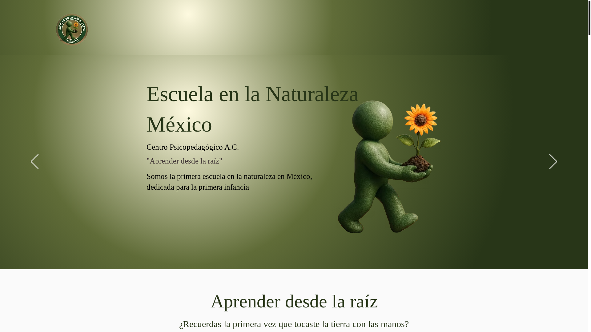 website screenshot of https://xn--escuelaenlanaturalezamxico-wlc.com/