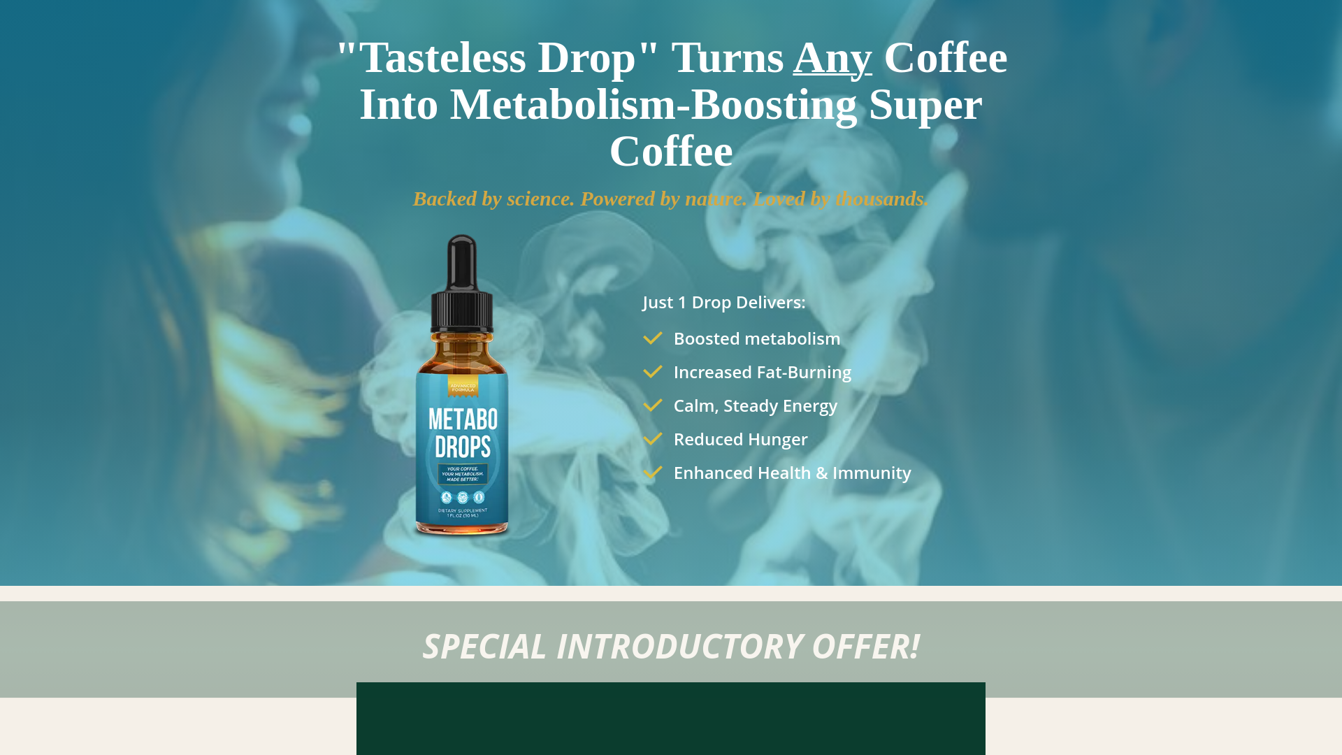 website screenshot of https://leancorelabs.com/