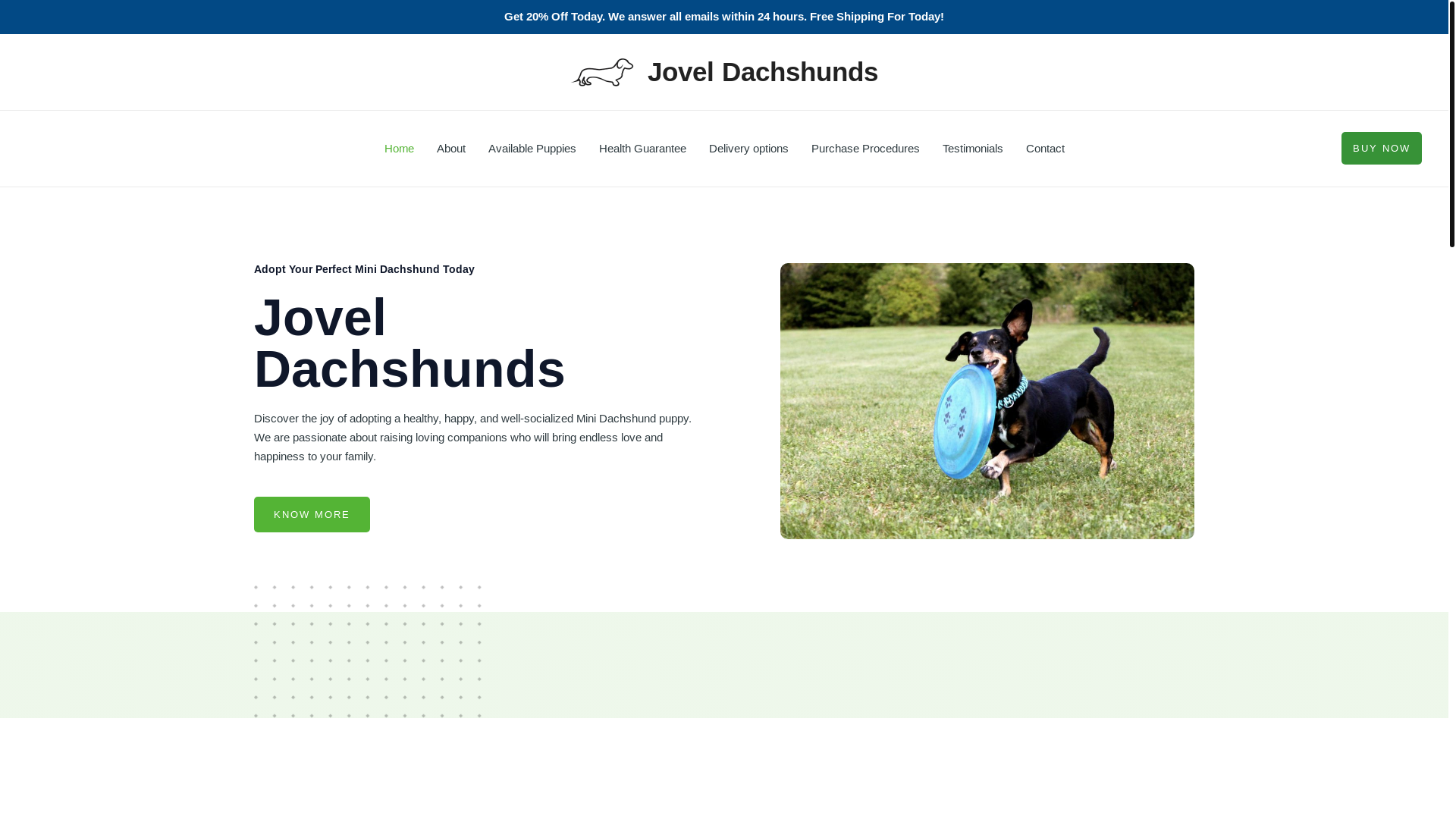 website screenshot of https://scottdachshundpuppies.com/