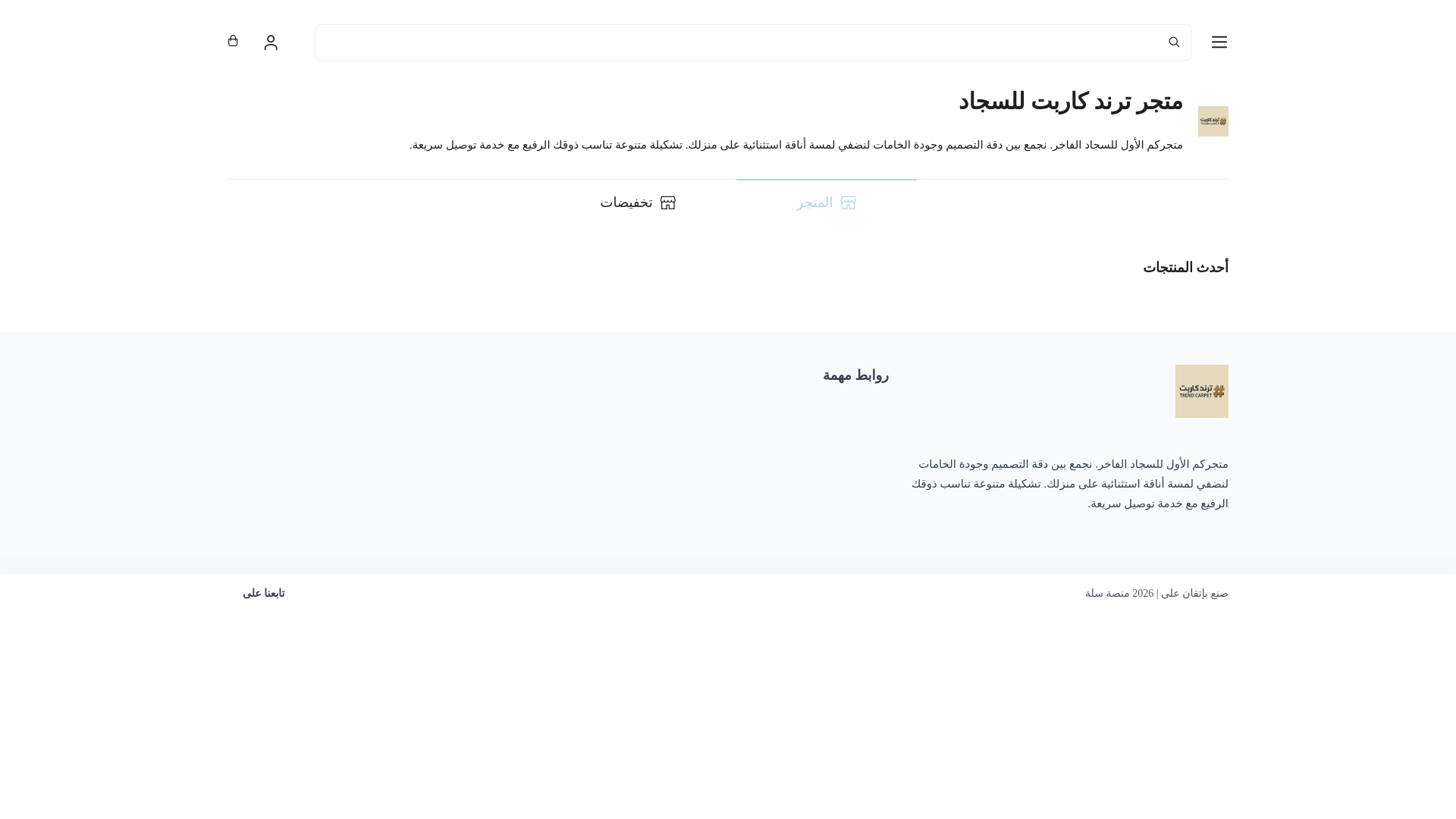 website screenshot of https://trendcarpetsa.com