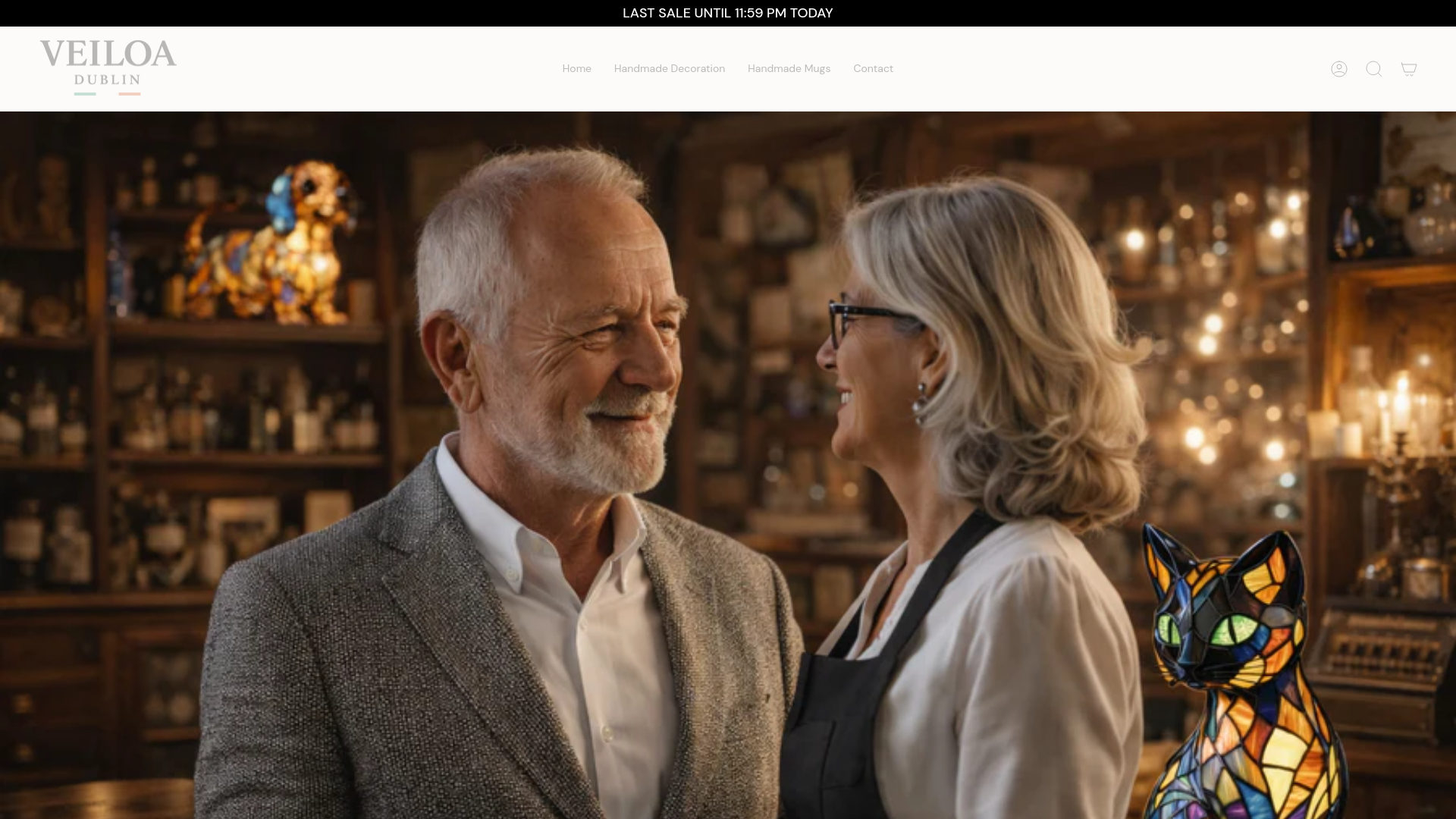 website screenshot of https://veiloadublin.com/