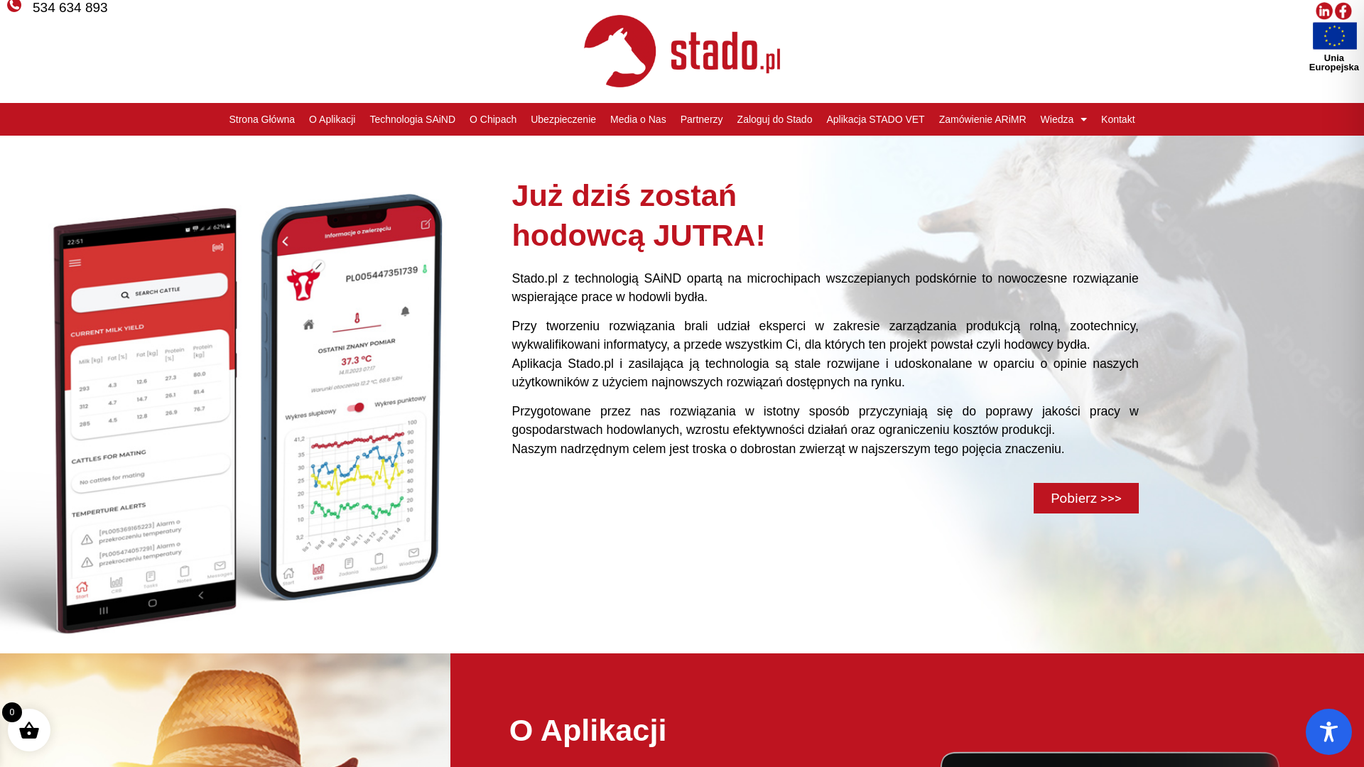 website screenshot of https://stado.pl