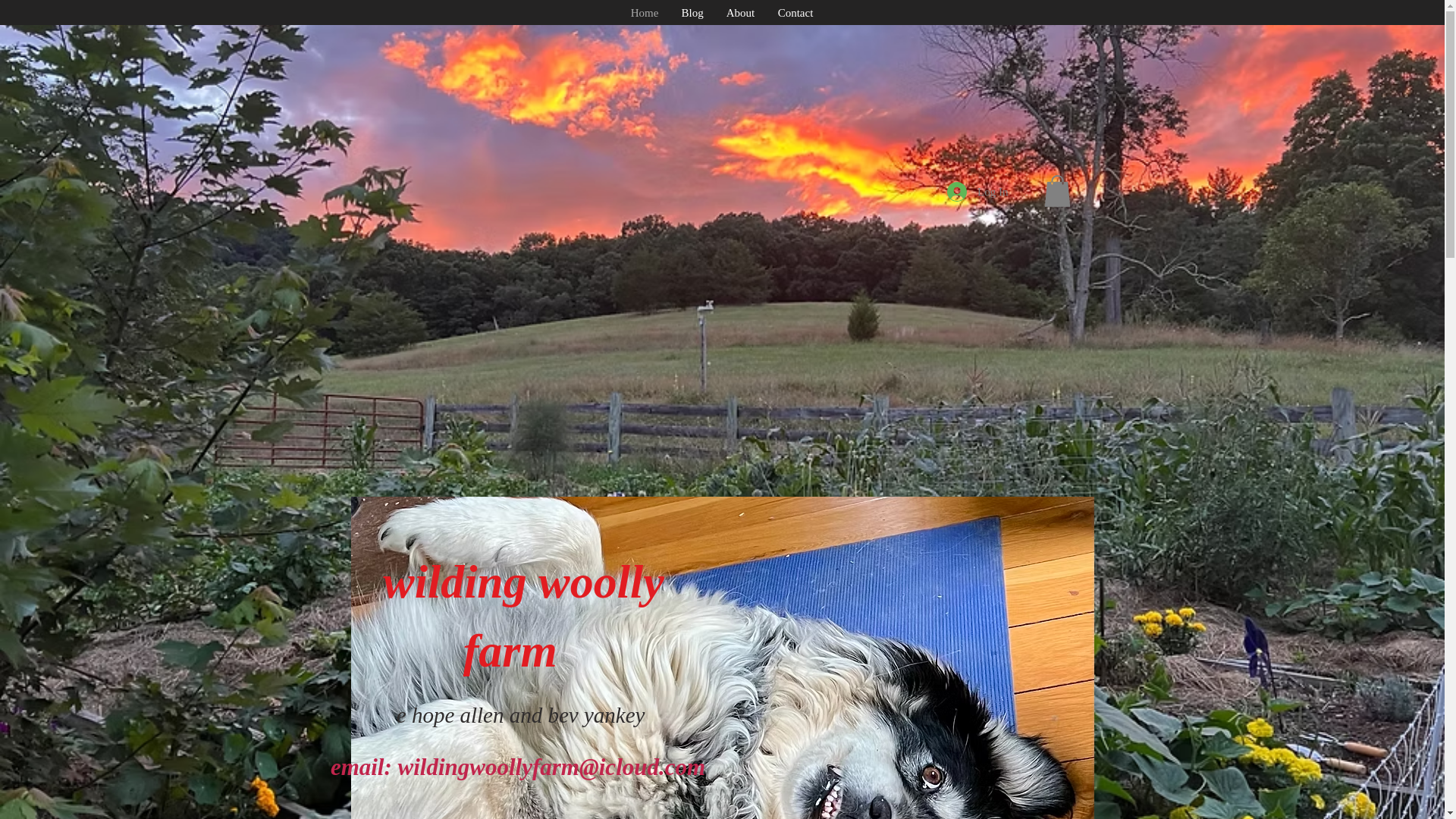 website screenshot of https://wildingwoollyfarm.blog/