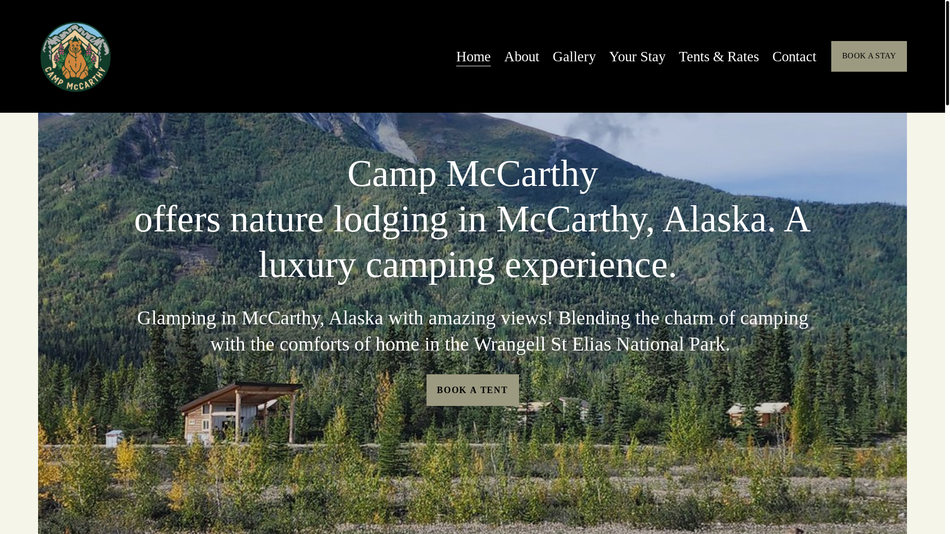 website screenshot of https://discovermccarthy.com/