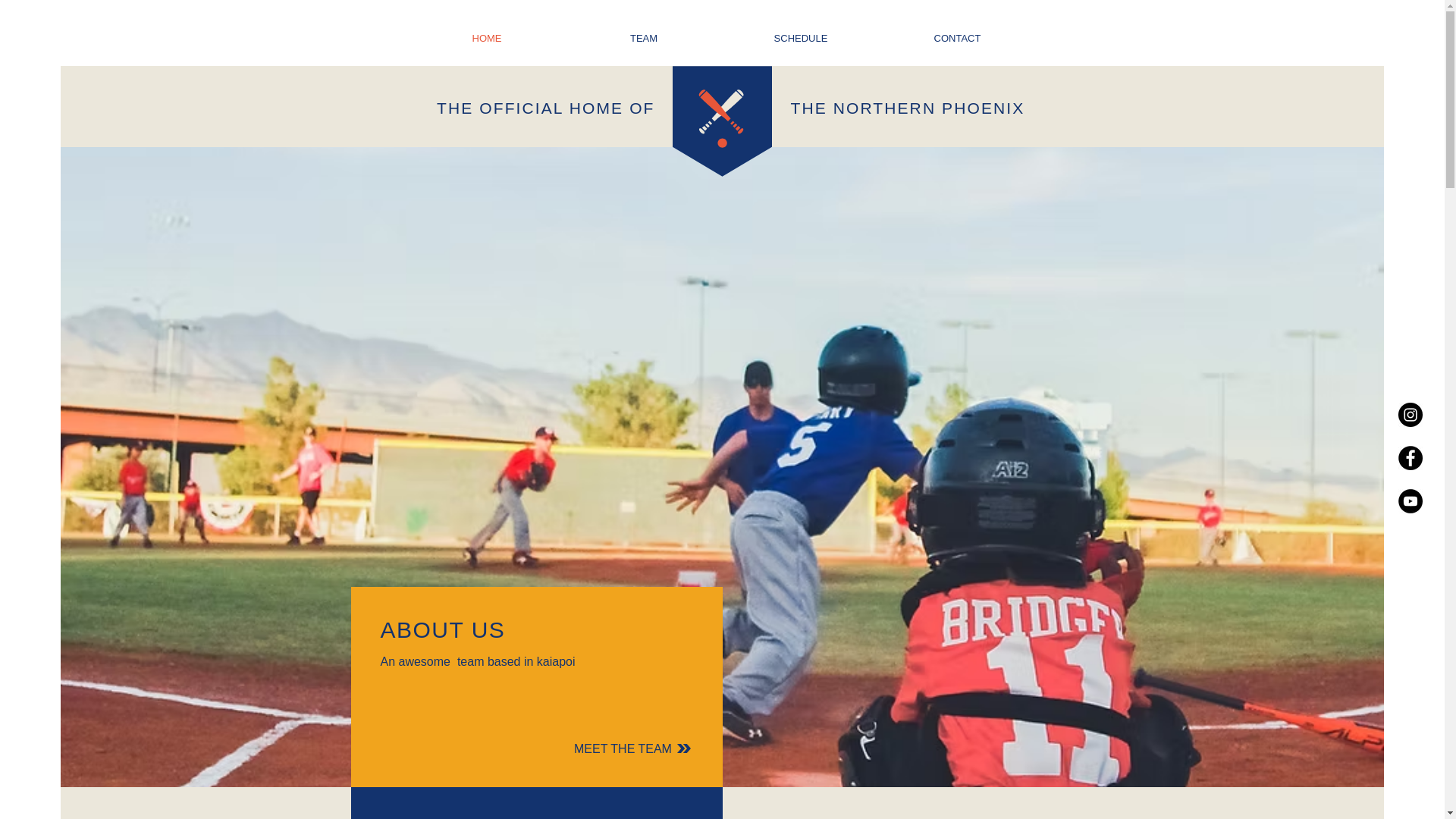 website screenshot of https://northernphoenixdragonboating.com/
