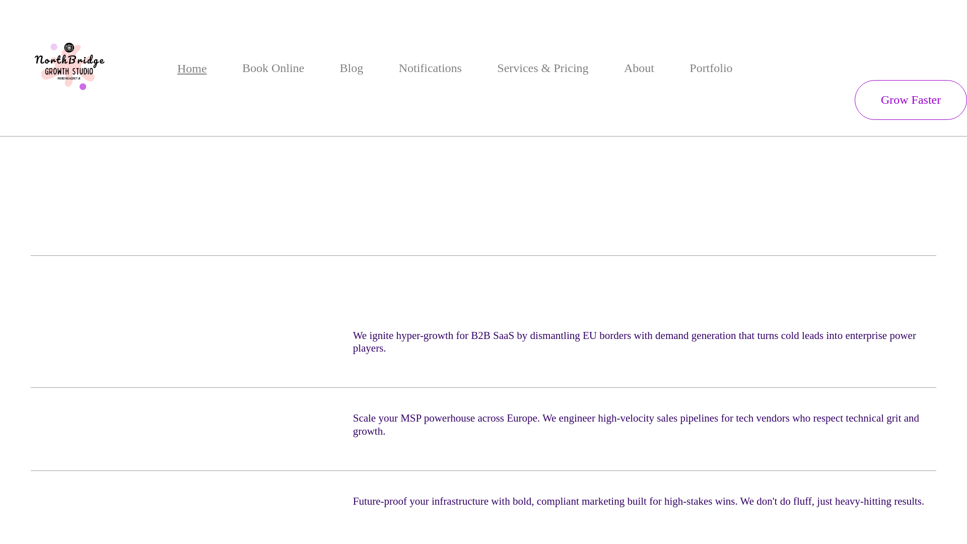website screenshot of https://northbridgegrowthstudio.co.uk/
