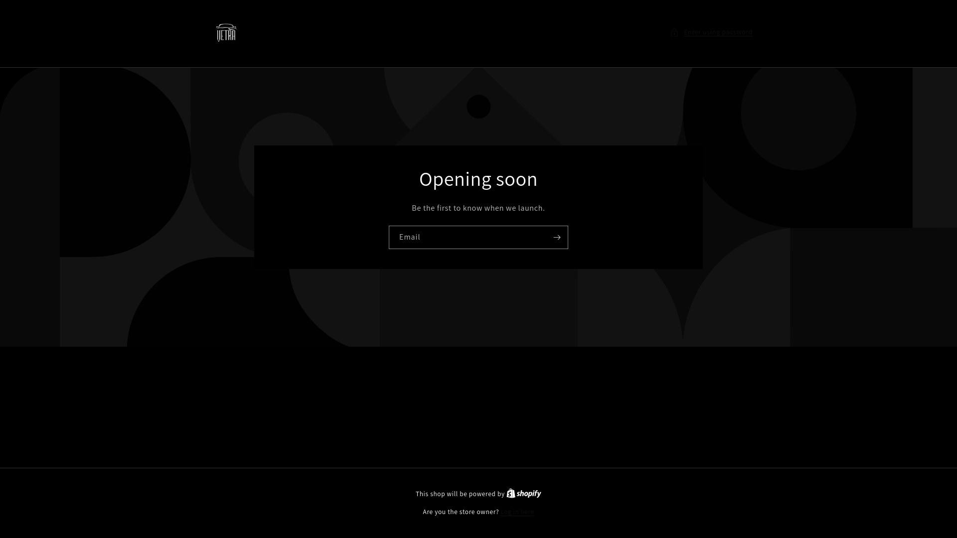 website screenshot of https://vetvetra.com/