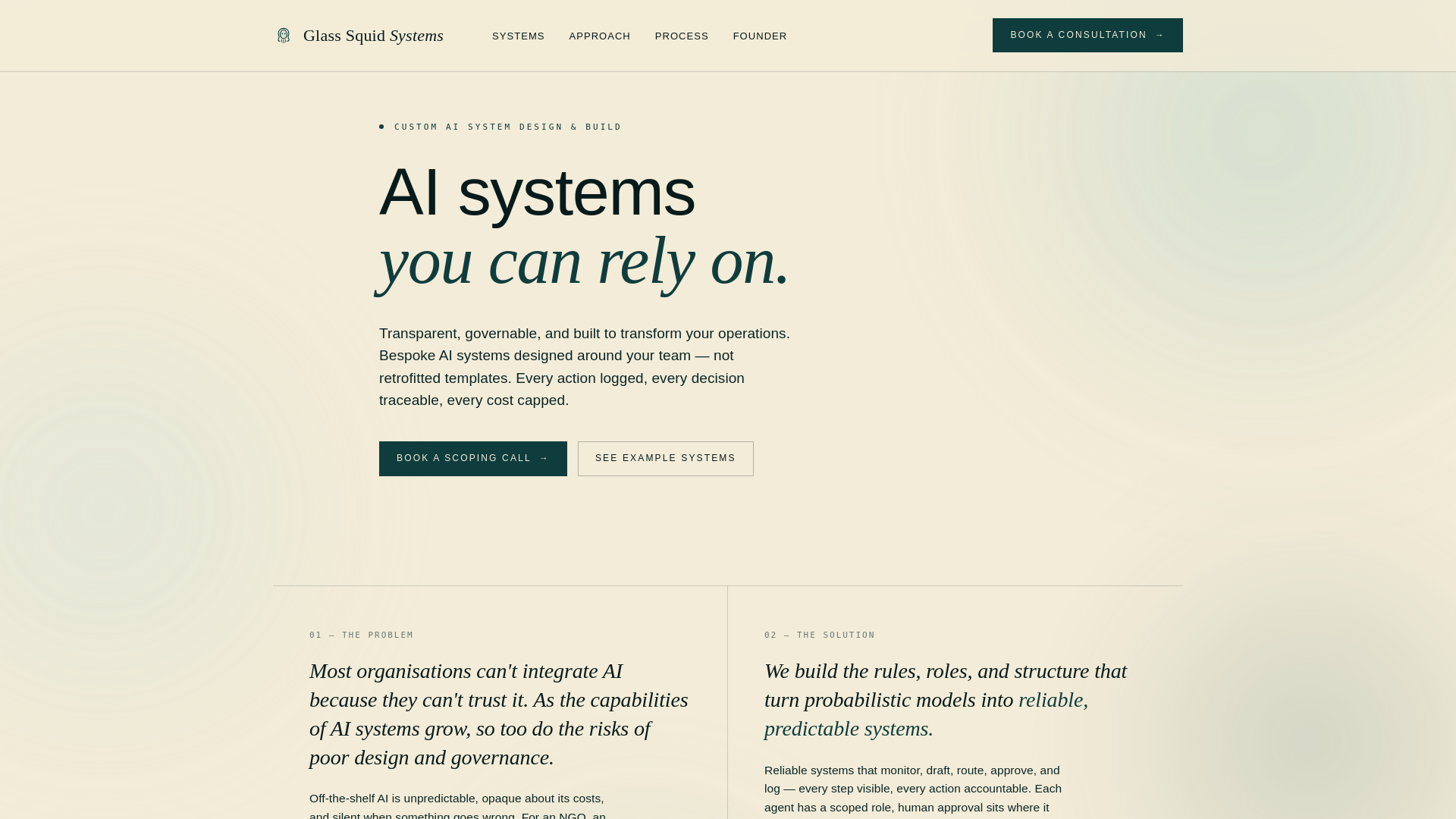 website screenshot of https://glasssquidsystems.com/