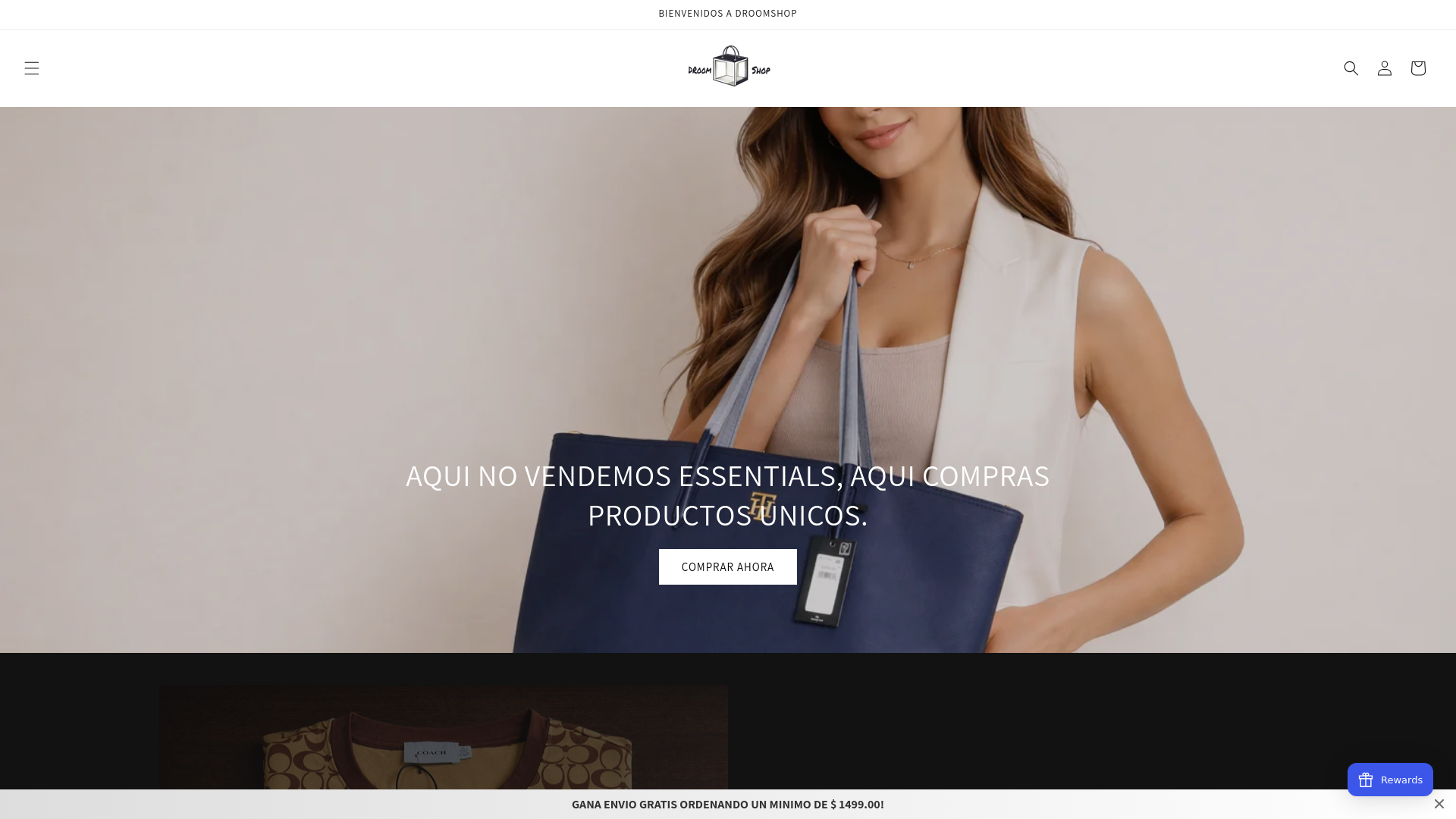 website screenshot of https://droomshop.mx/