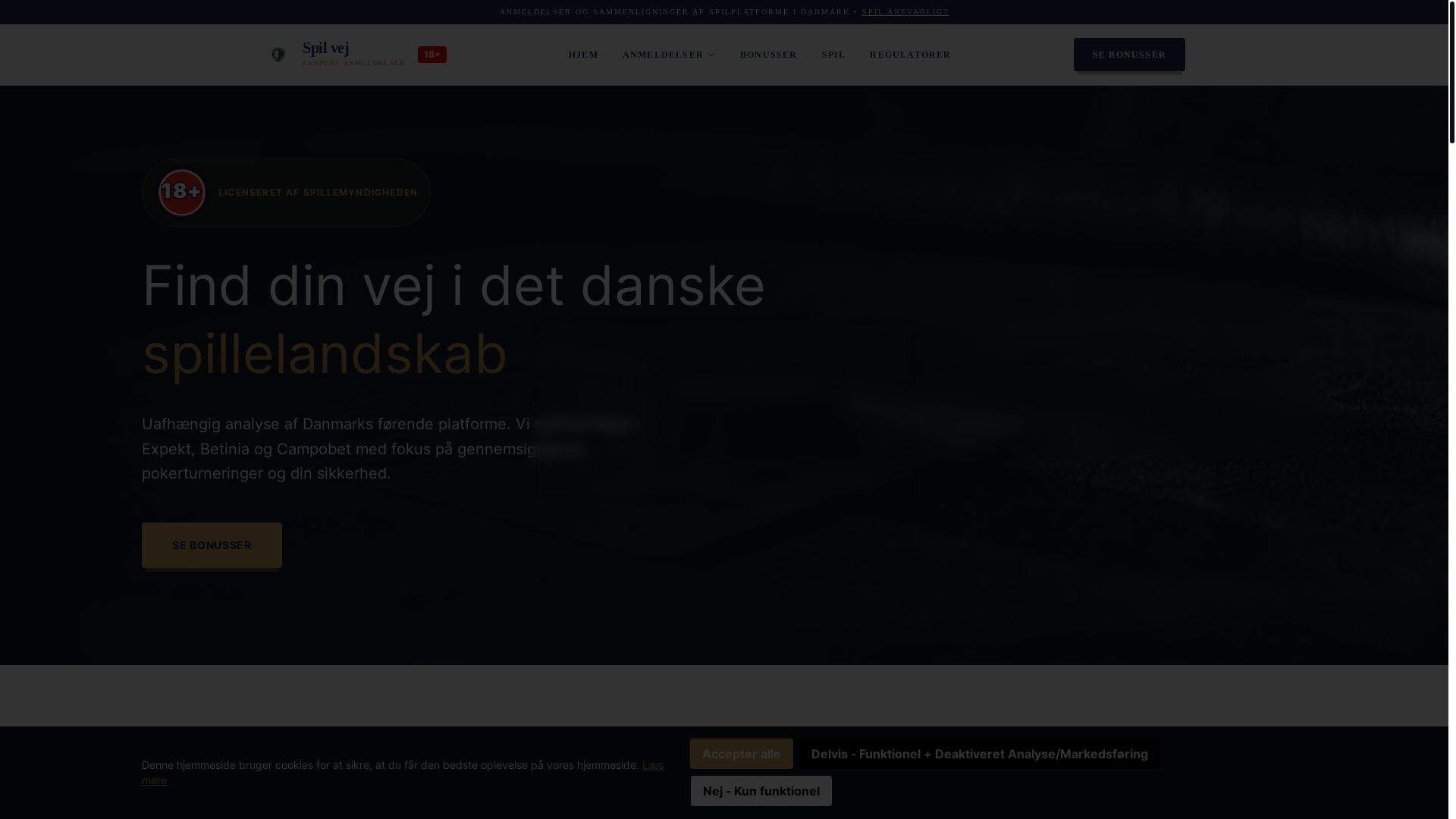 website screenshot of https://spilekspert.org/