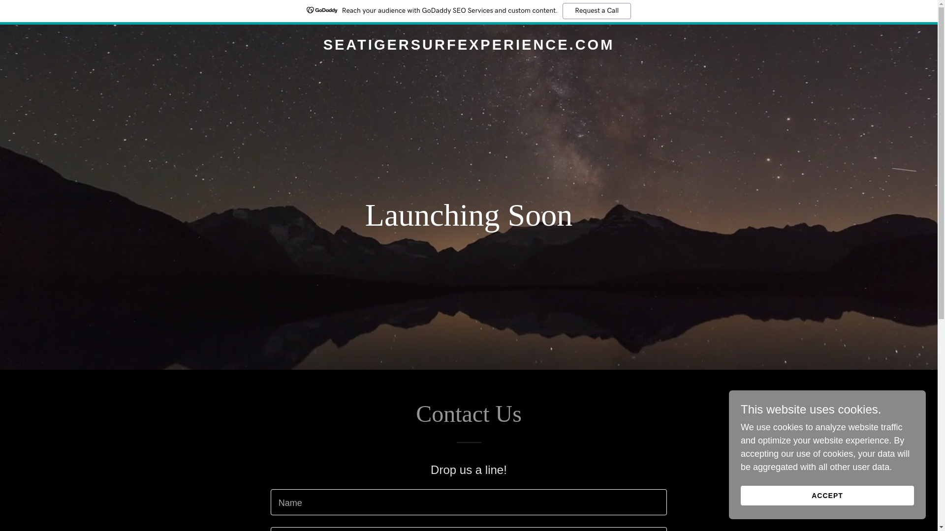 website screenshot of https://seatigersurfexperience.com/