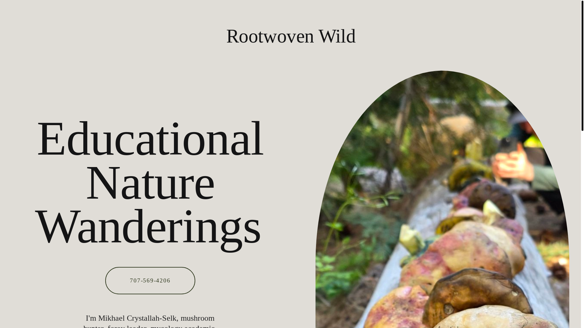 website screenshot of https://rootwovenwild.org/