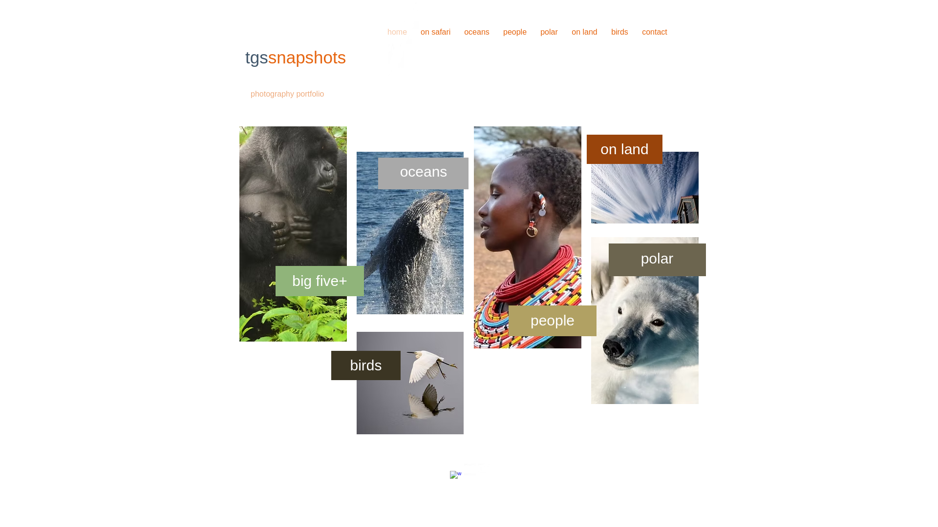 website screenshot of https://tgssnapshots.com/