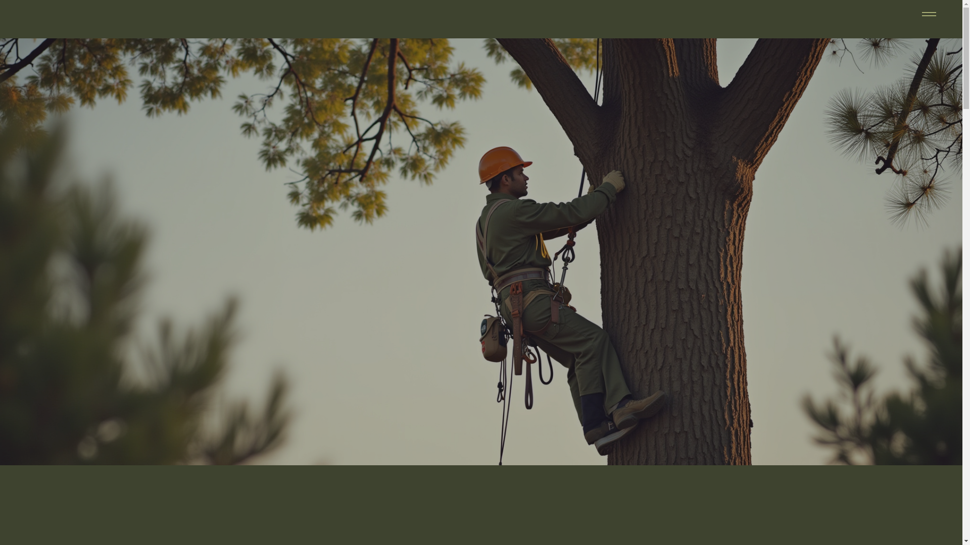 website screenshot of https://jonstoptreeservicellc.com/