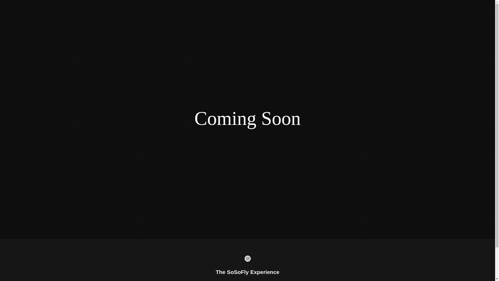 website screenshot of https://tssfexperiences.com/