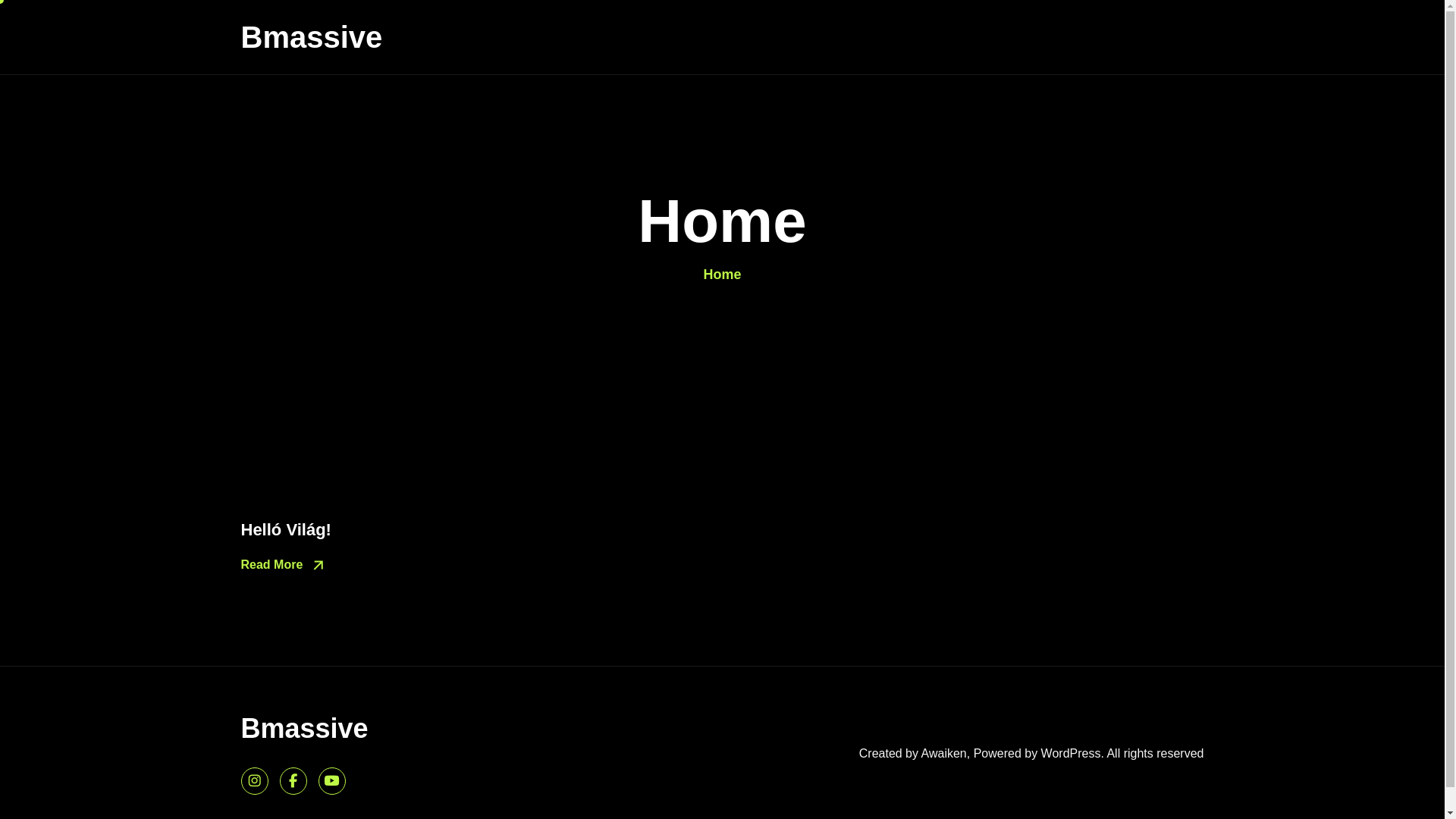 website screenshot of https://bmassive.eu/
