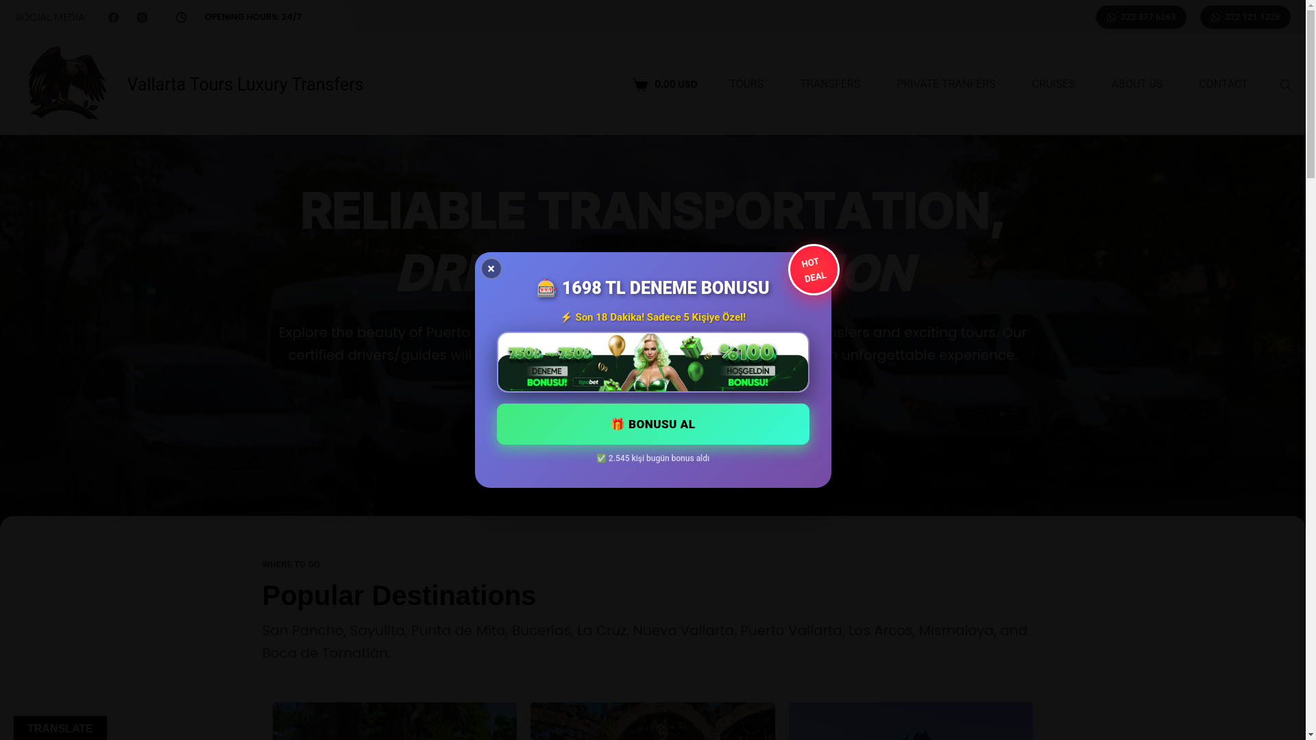 website screenshot of http://vallartatoursluxurytransfers.com/