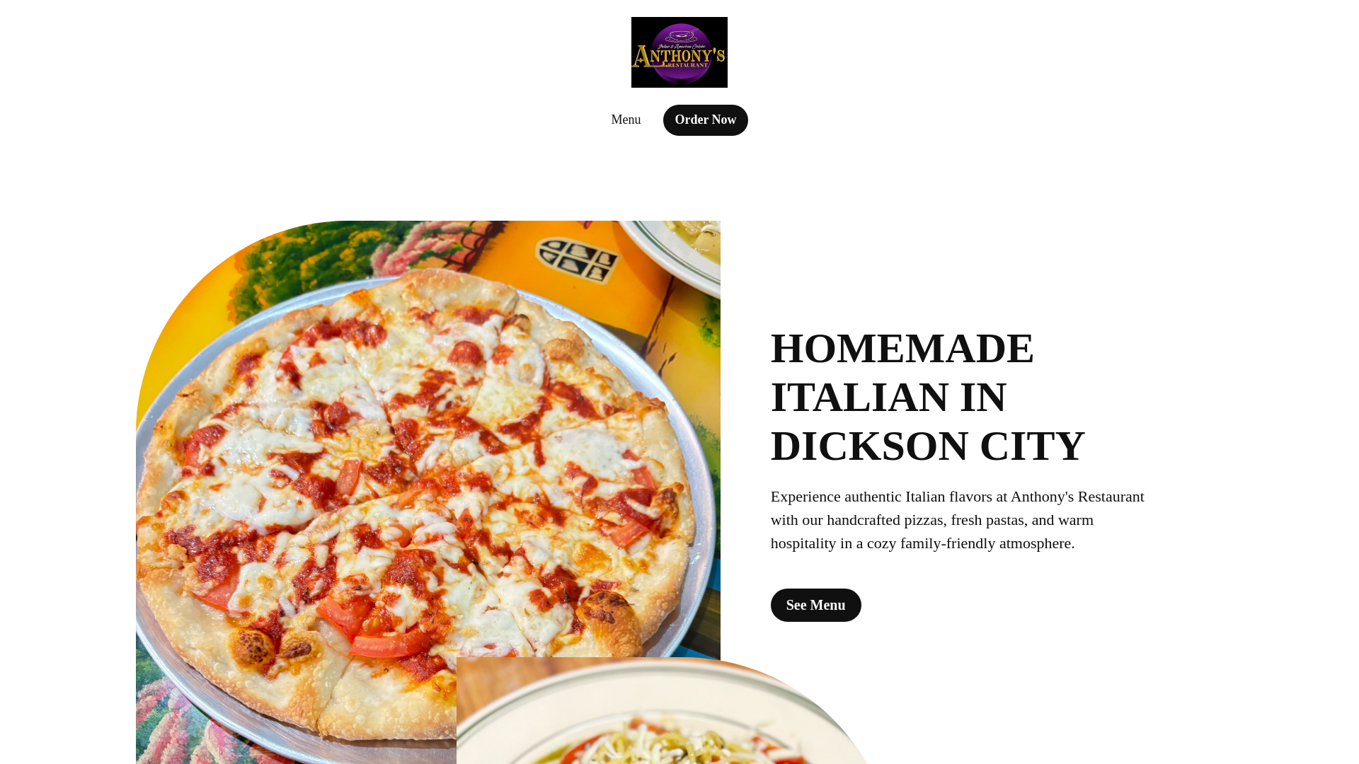 website screenshot of https://anthonysrestaurantdicksoncity.com/