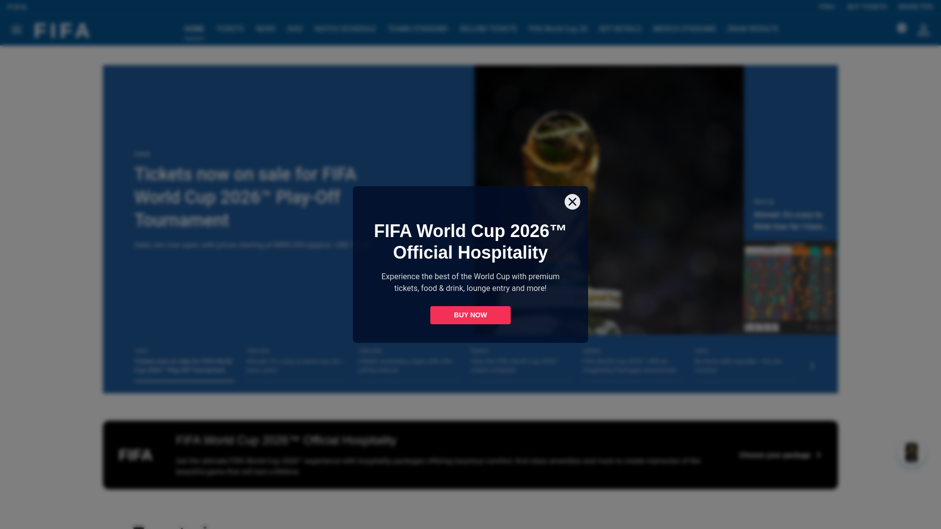 website screenshot of https://worldcupticket.life/