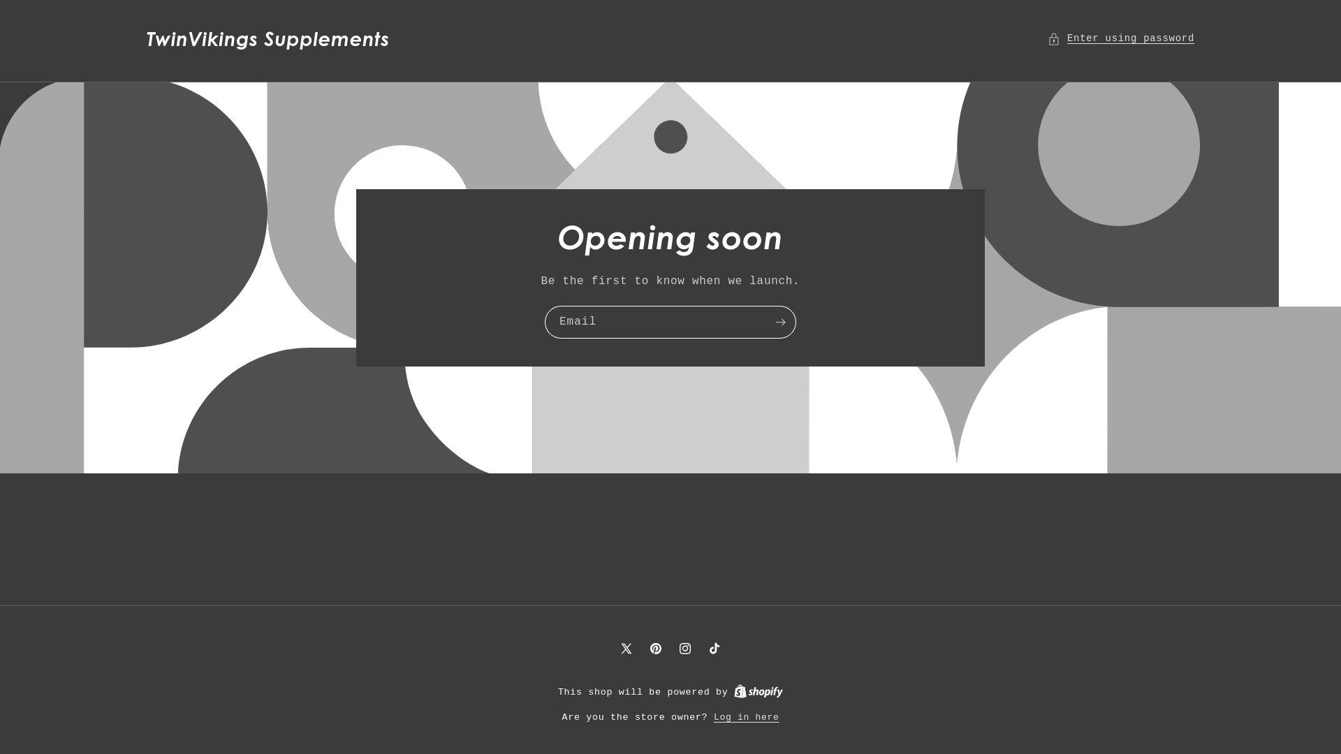 website screenshot of https://twinvikingssupplements.com/
