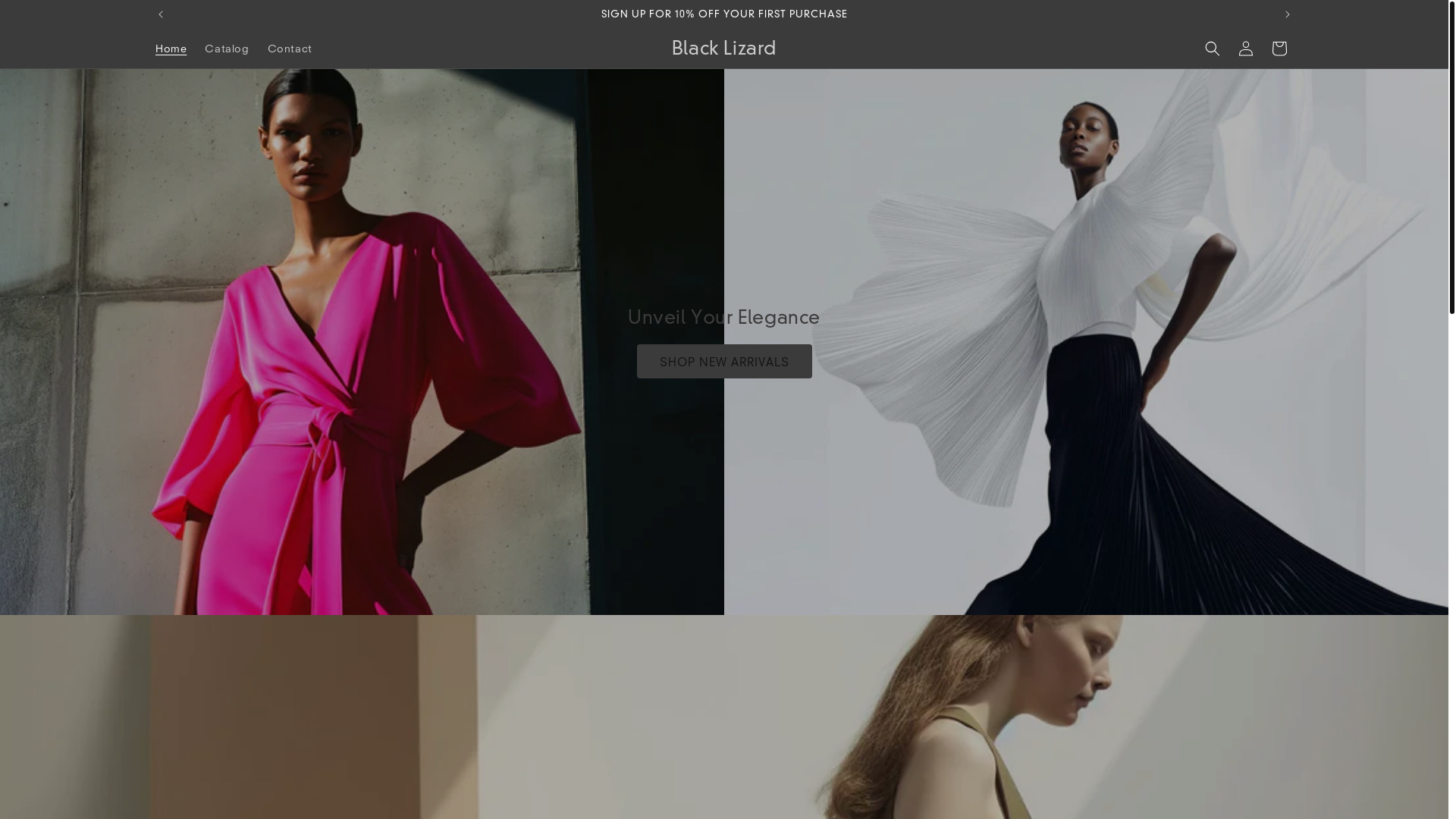 website screenshot of https://blacklizard.store/