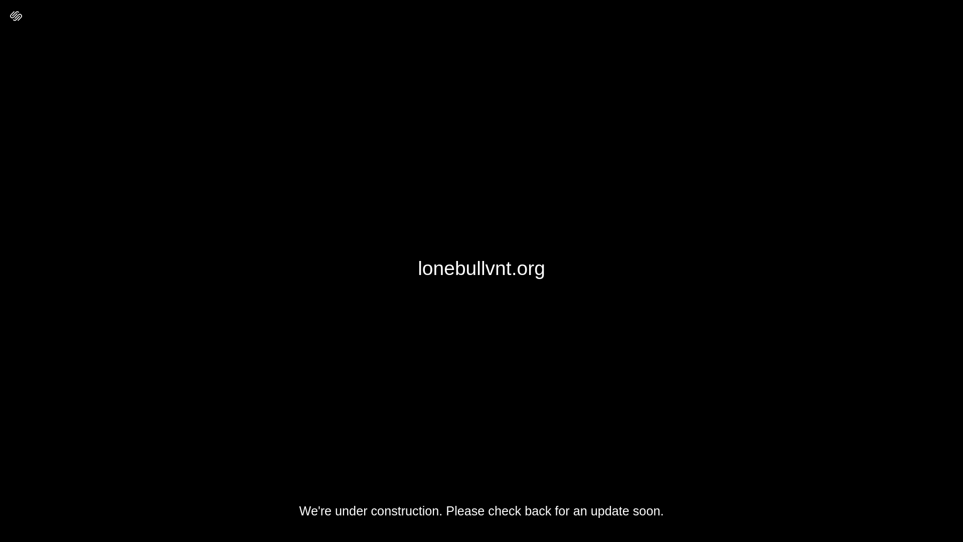 website screenshot of https://lonebullvnt.org/