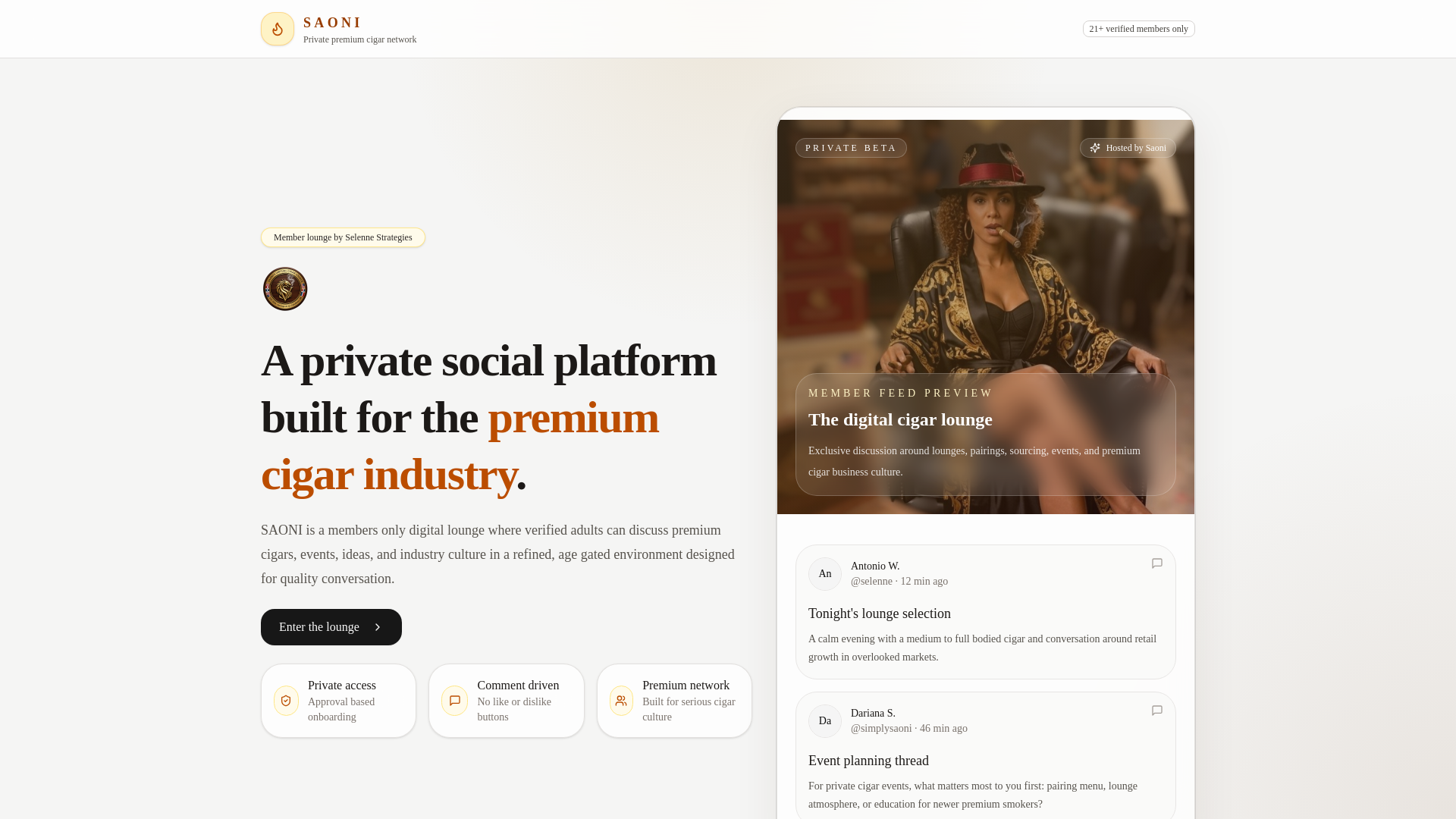 website screenshot of https://saoni-vcl.com/