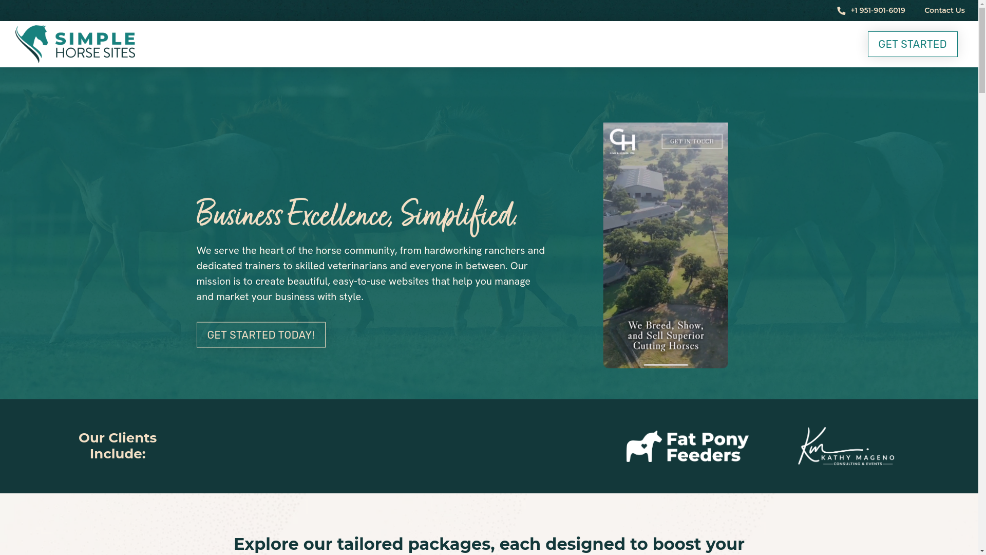website screenshot of https://horsetrainersites.com/