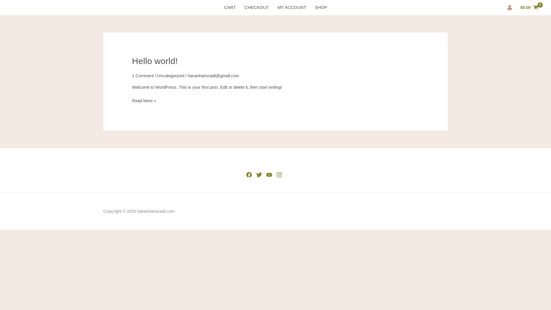 website screenshot of https://hananhamzaali.com/