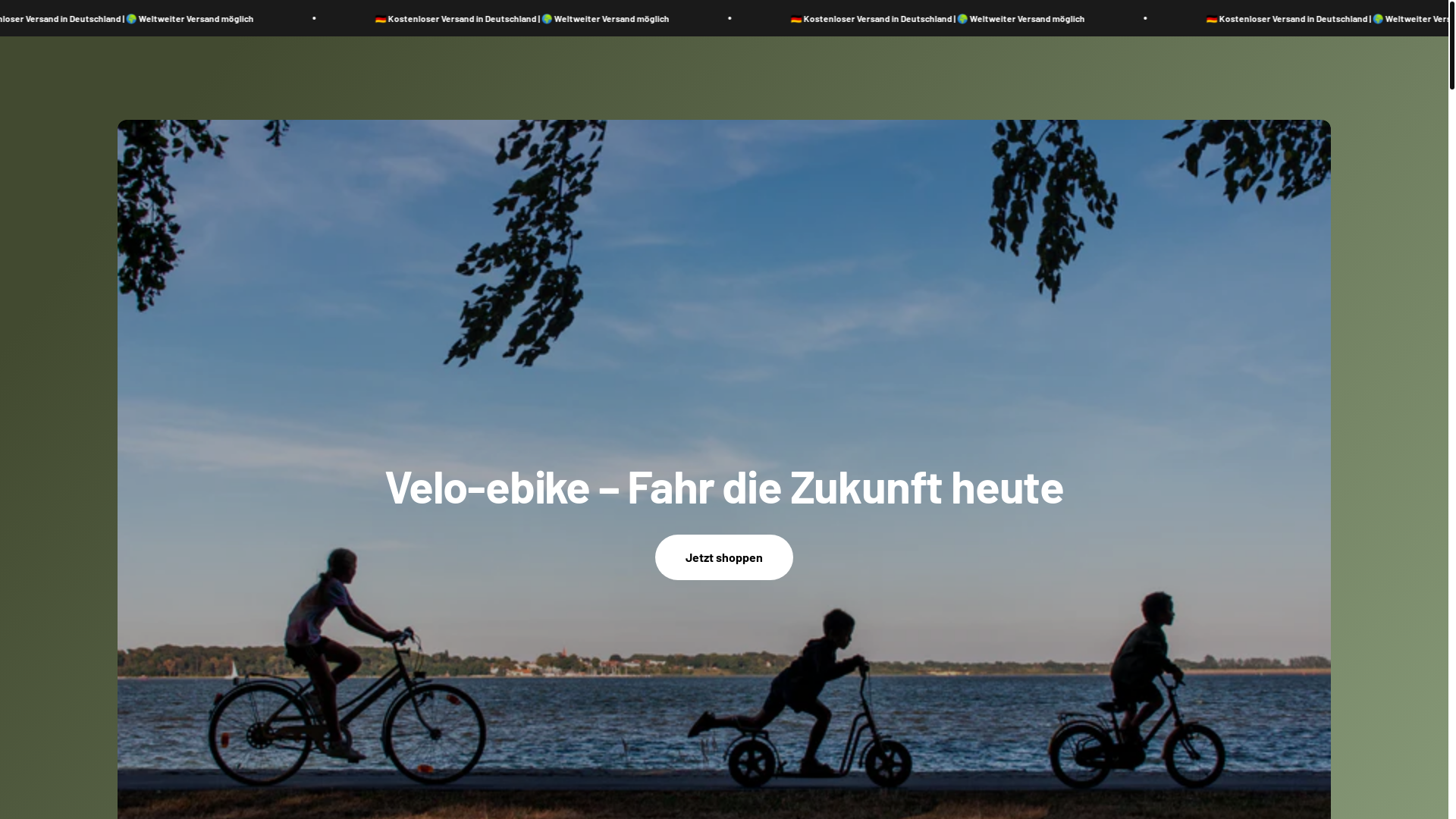 website screenshot of https://velo-ebike.shop/