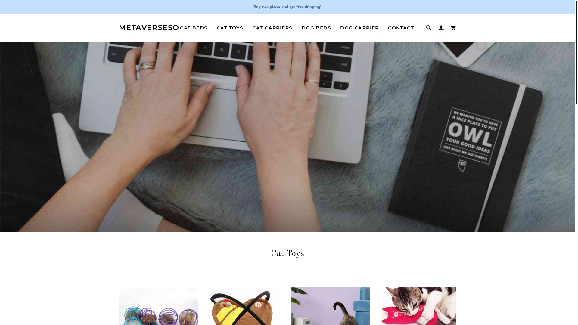 website screenshot of https://metaverseso.top/