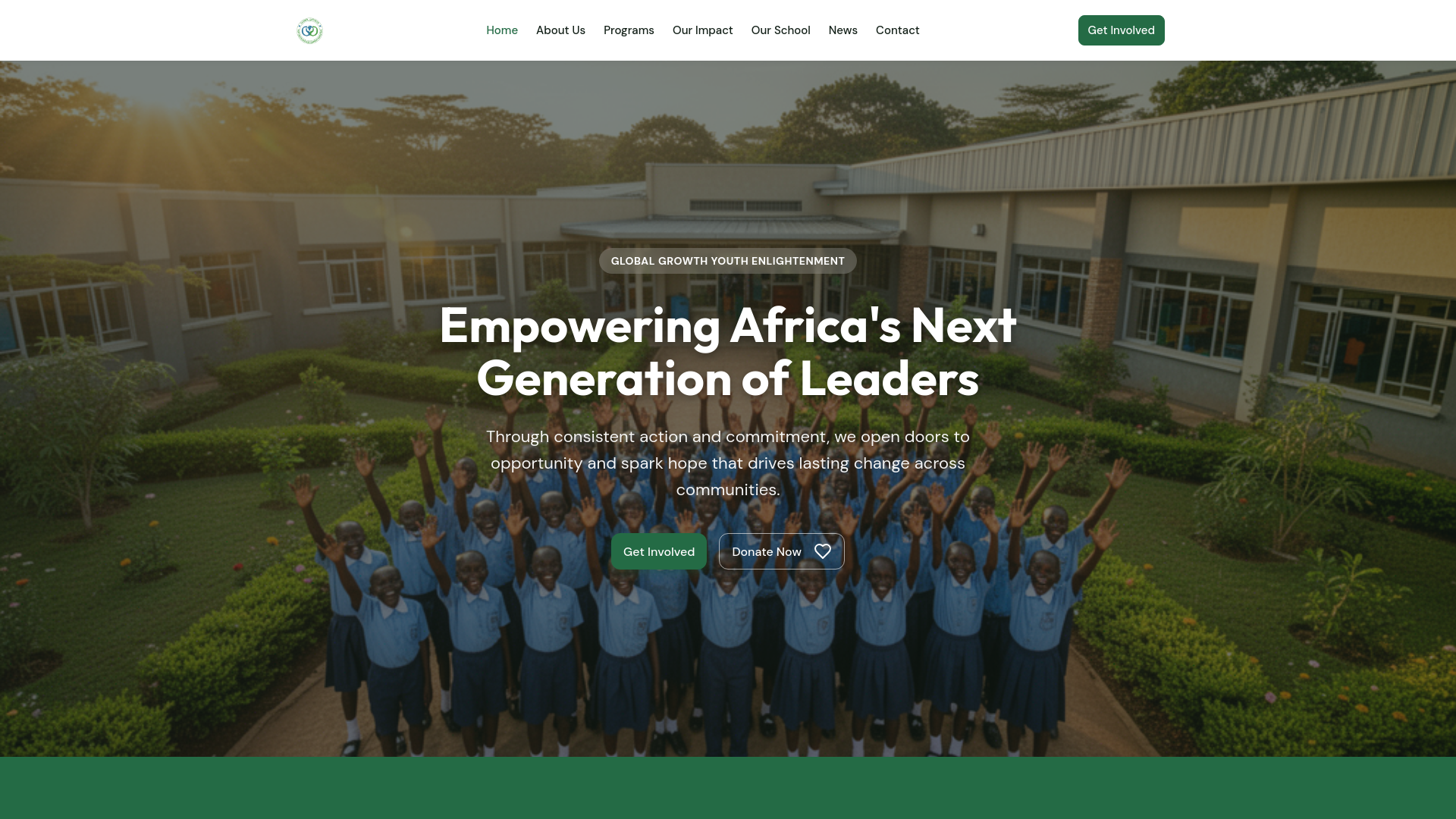 website screenshot of https://ggi-foundation.org/