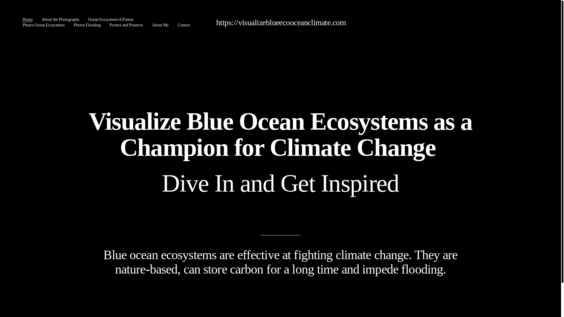 website screenshot of https://visualizeblueecooceanclimate.com/