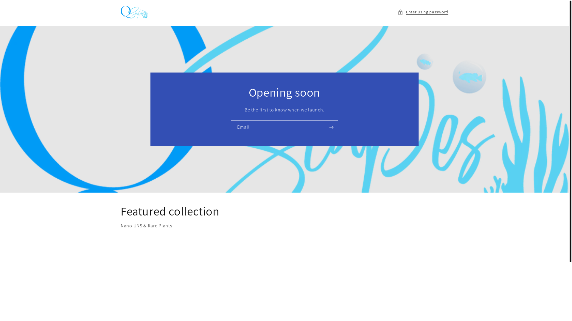 website screenshot of https://qscapes.shop/