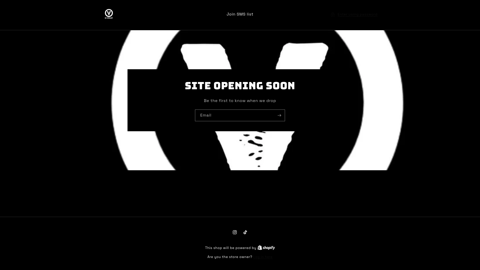 website screenshot of https://viglntstudioss.com/