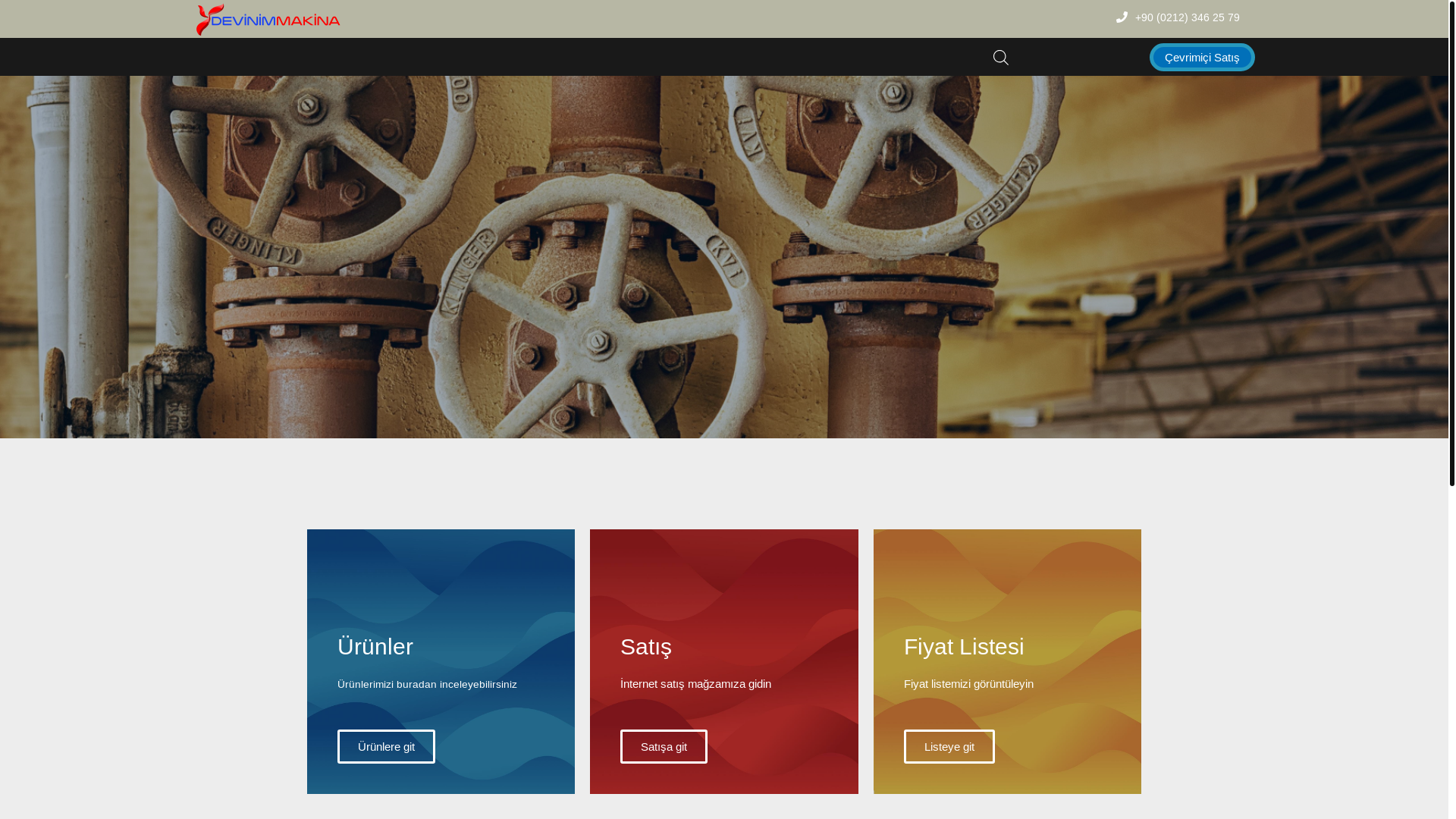 website screenshot of https://devinimmakina.tr/