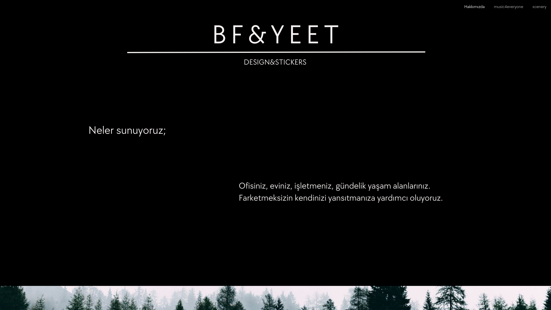 website screenshot of https://bfyeet.com.tr/