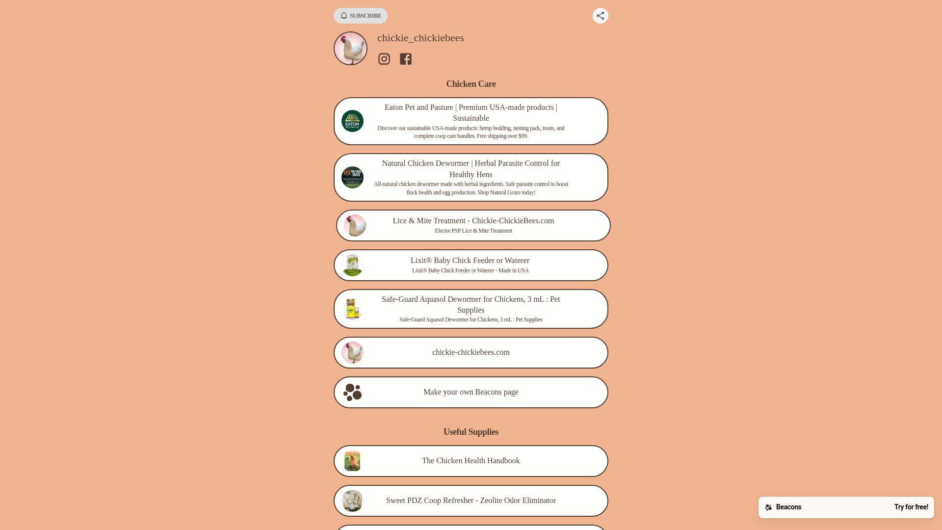 website screenshot of https://chickiechickiebees.store